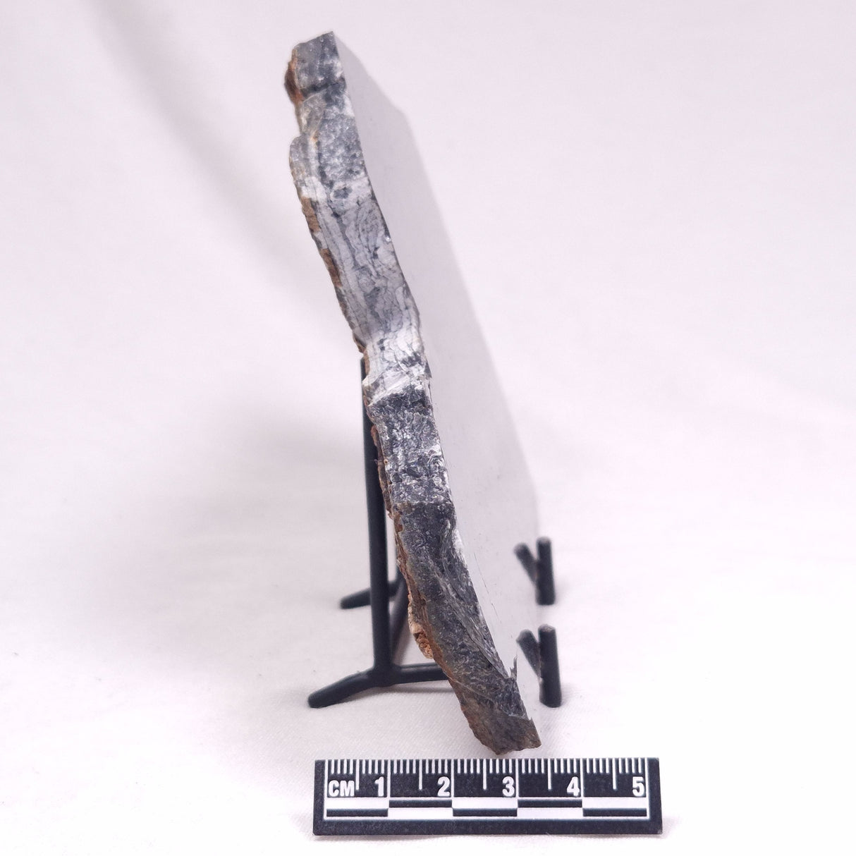 ALCHERINGA NARRINA STROMATOLITE, Late Archean, Australia ZAN024