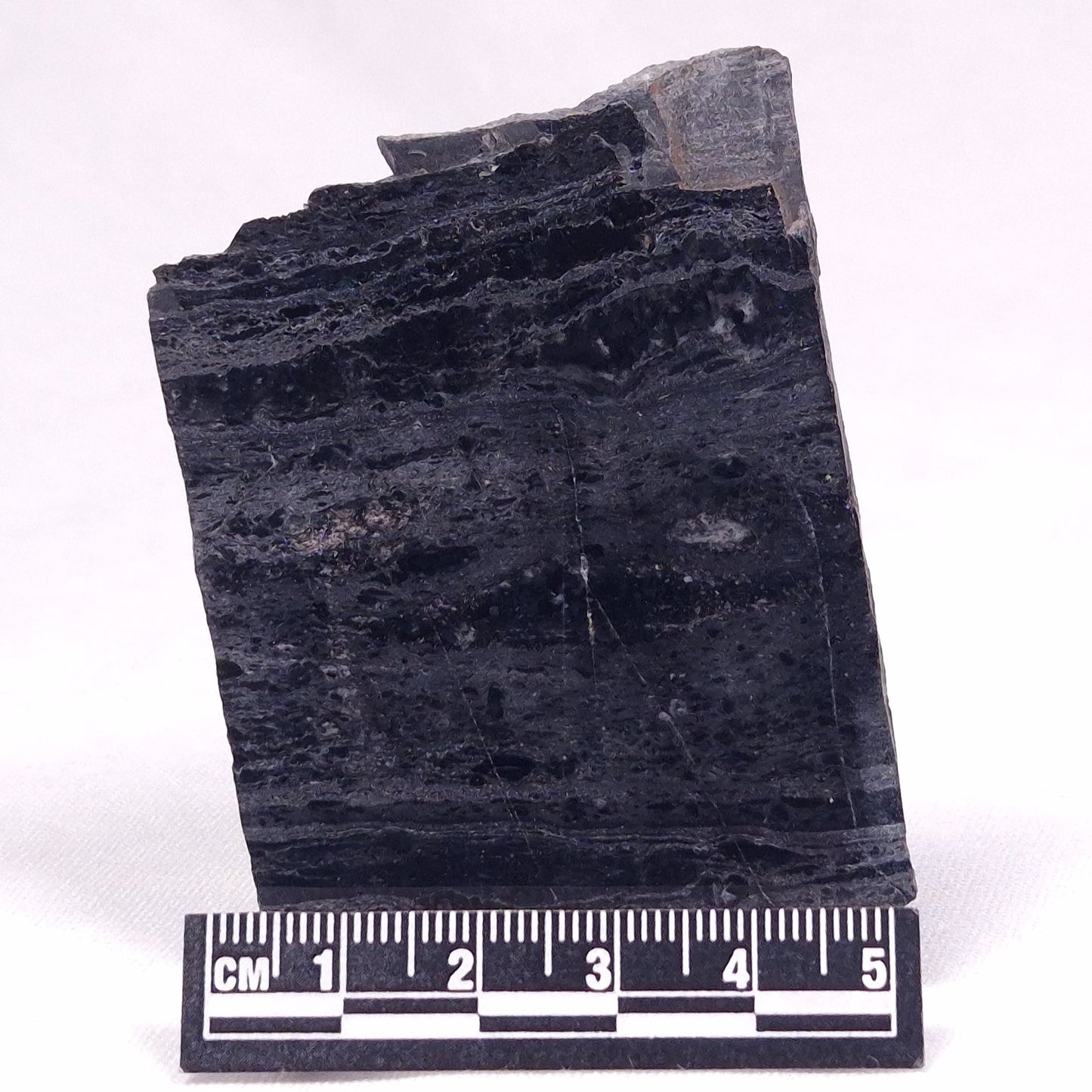 ALCHERINGA NARRINA STROMATOLITE, Late Archean, Australia ZAN026