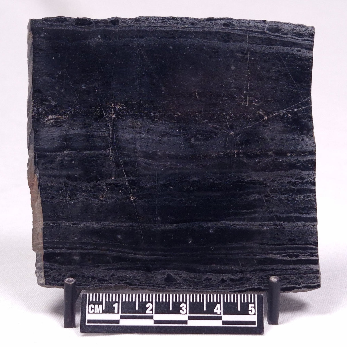 ALCHERINGA NARRINA STROMATOLITE, Late Archean, Australia ZAN029
