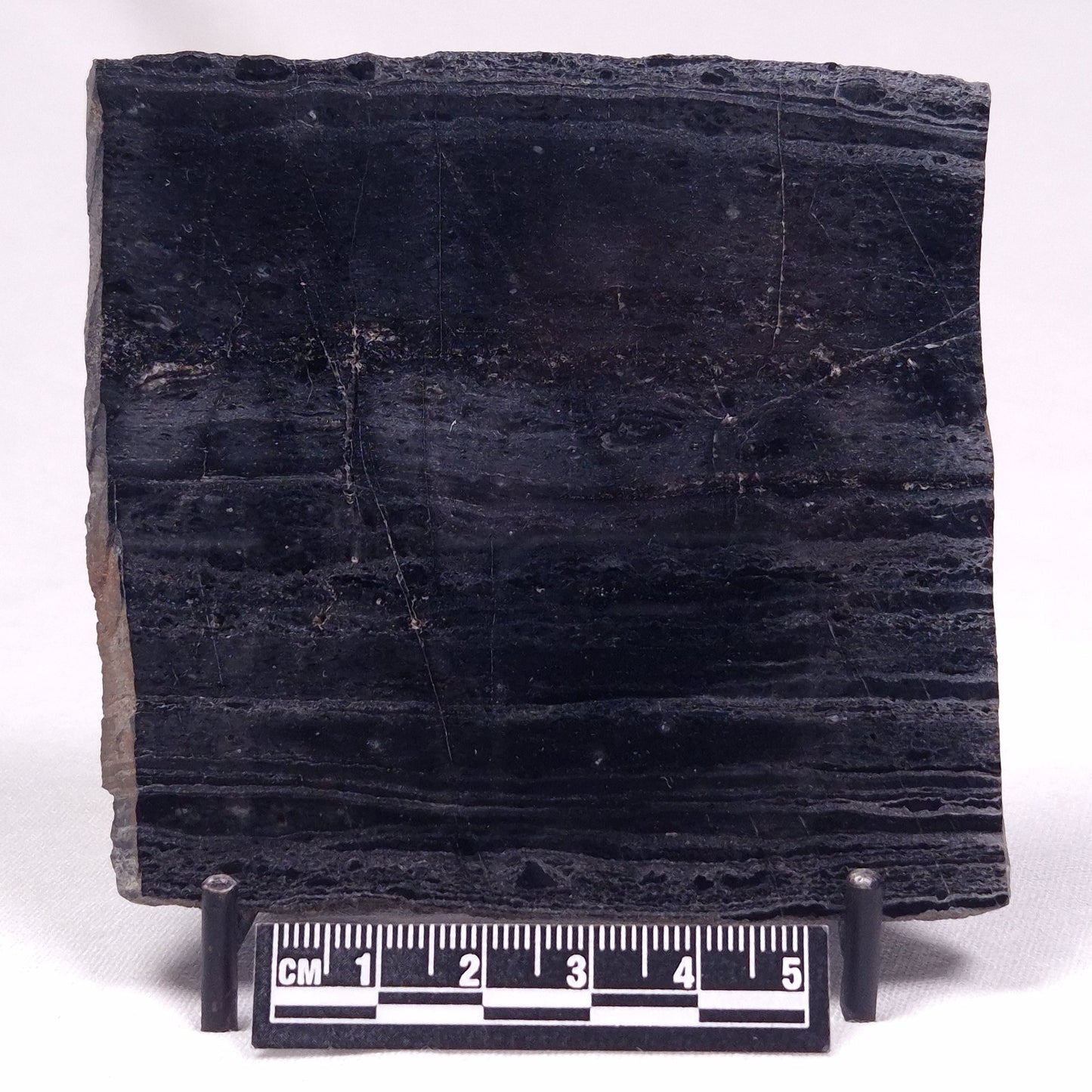 ALCHERINGA NARRINA STROMATOLITE, Late Archean, Australia ZAN029