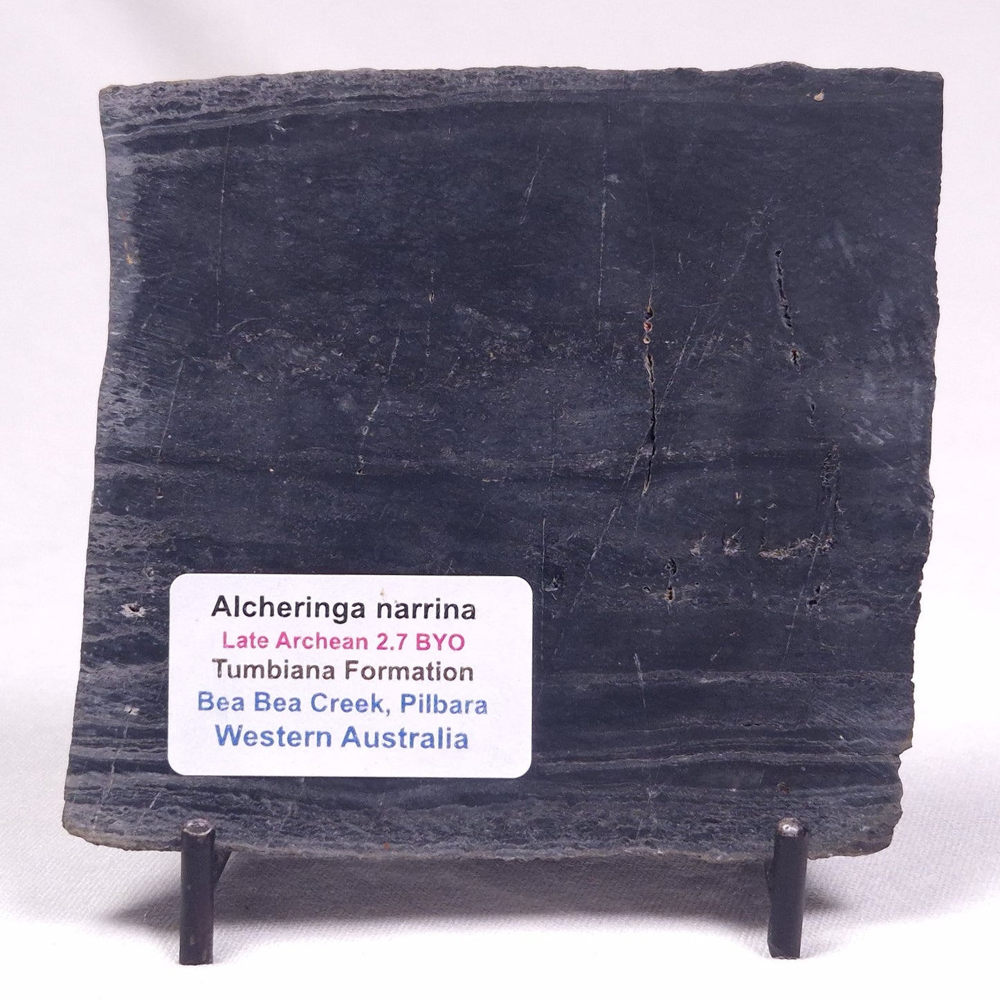 ALCHERINGA NARRINA STROMATOLITE, Late Archean, Australia ZAN029