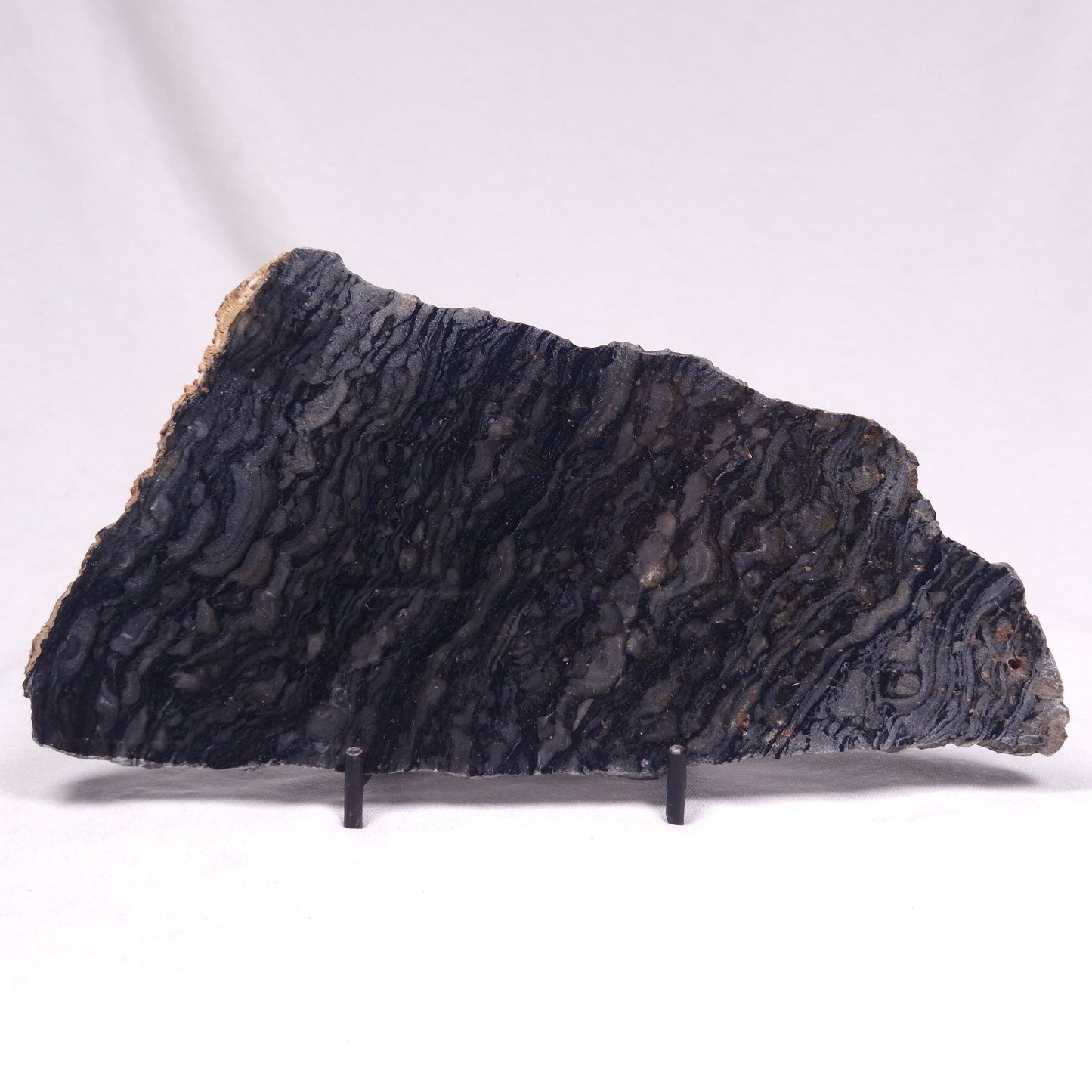 ALCHERINGA NARRINA STROMATOLITE, Late Archean, Australia ZAN033