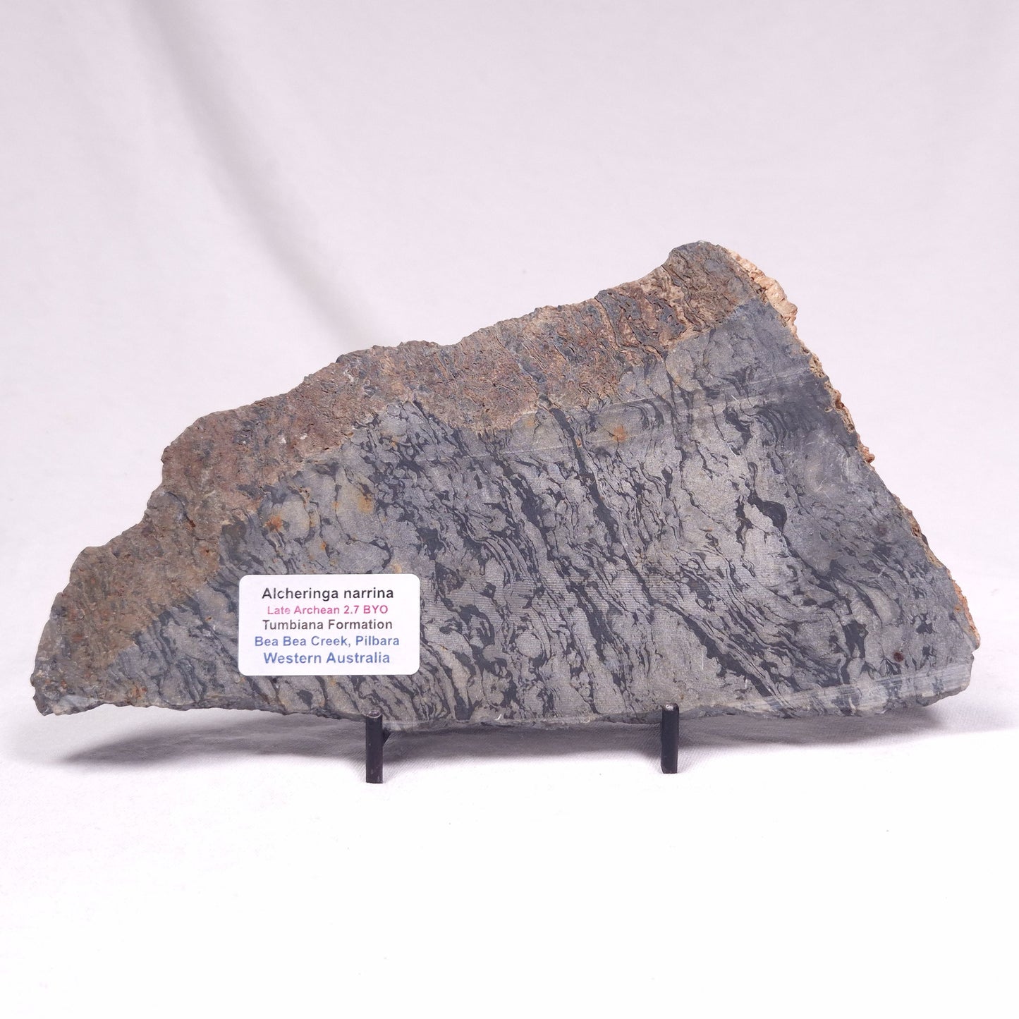 ALCHERINGA NARRINA STROMATOLITE, Late Archean, Australia ZAN033