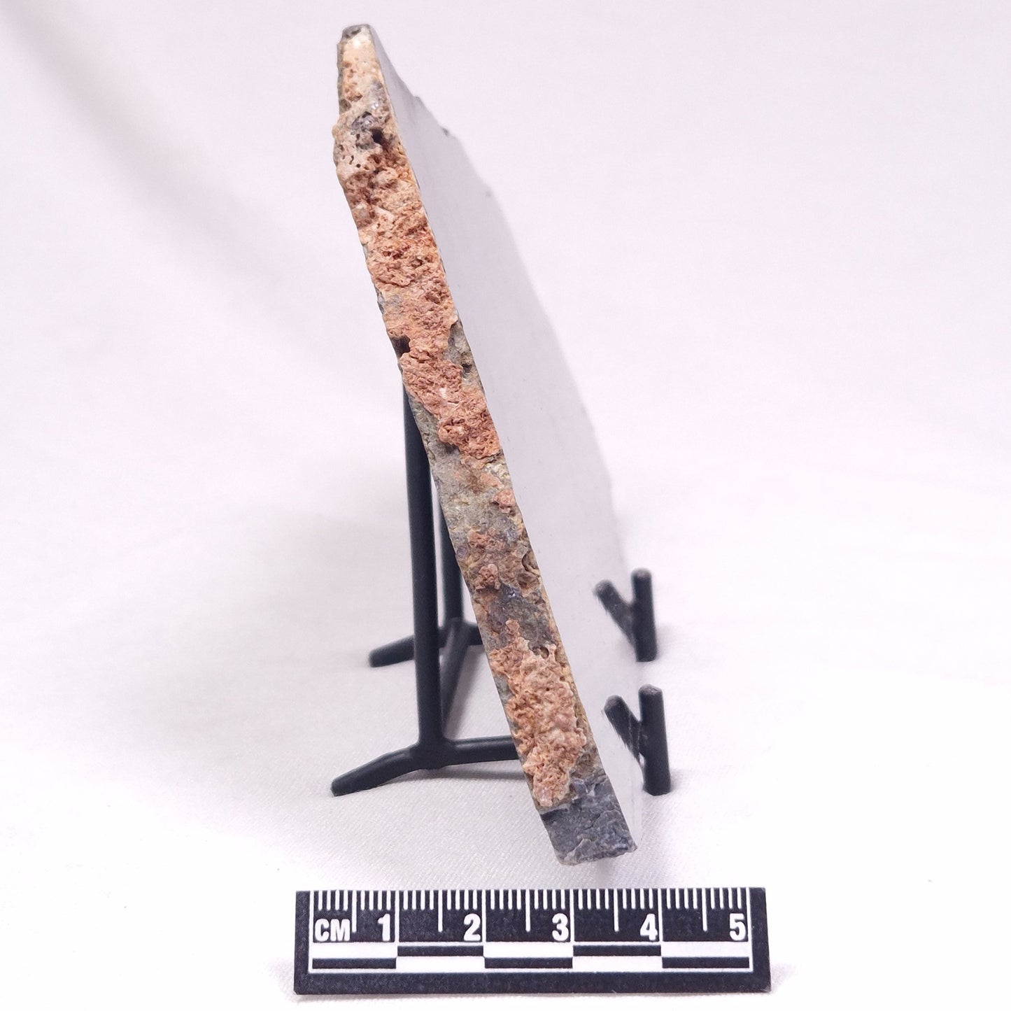 ALCHERINGA NARRINA STROMATOLITE, Late Archean, Australia ZAN033
