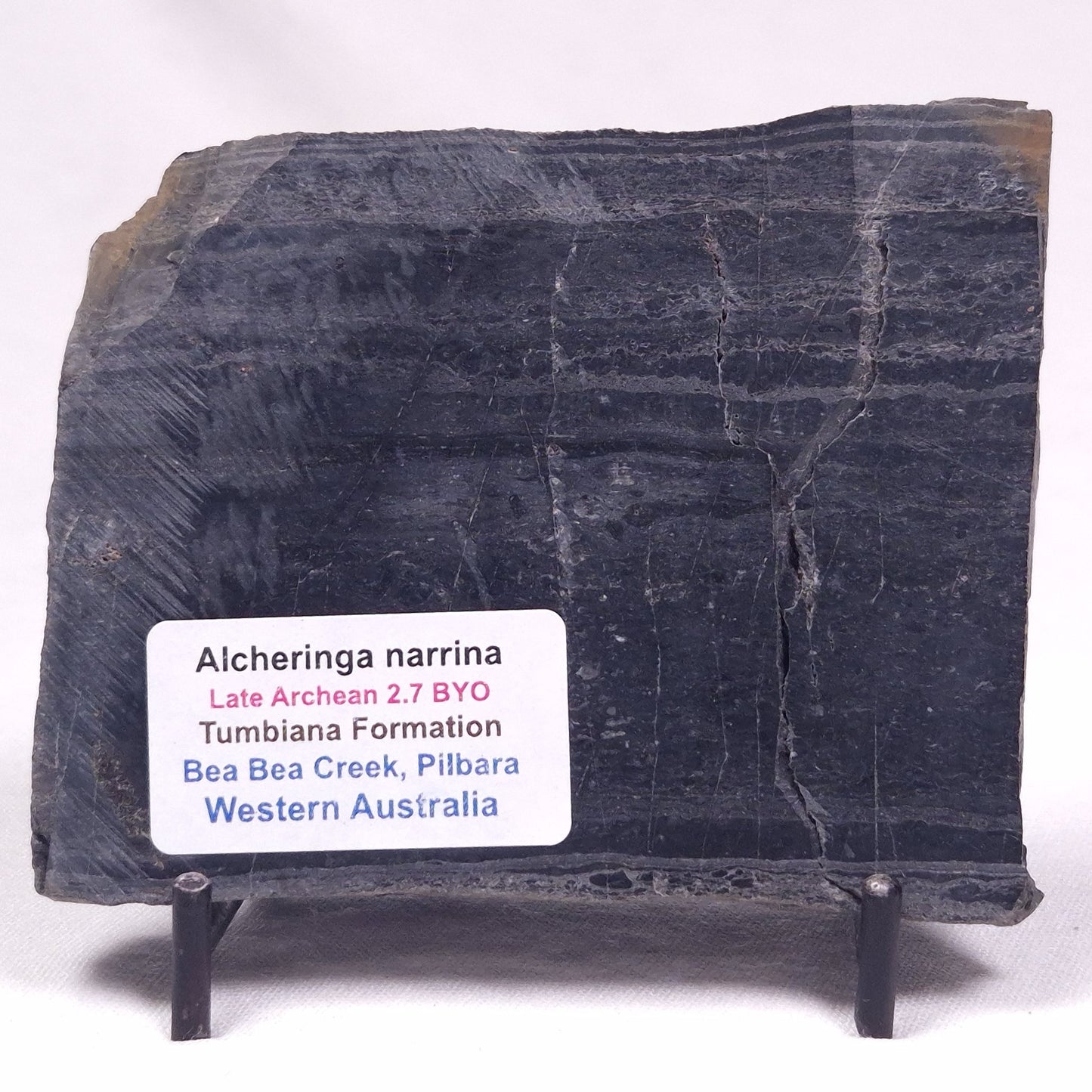 ALCHERINGA NARRINA STROMATOLITE, Late Archean, Australia ZAN034