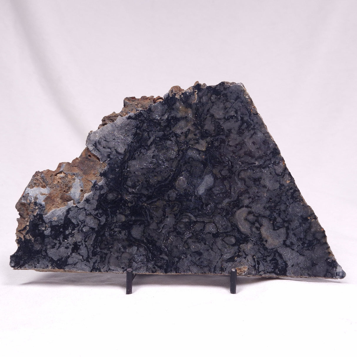 ALCHERINGA NARRINA STROMATOLITE, Late Archean, Australia ZAN037