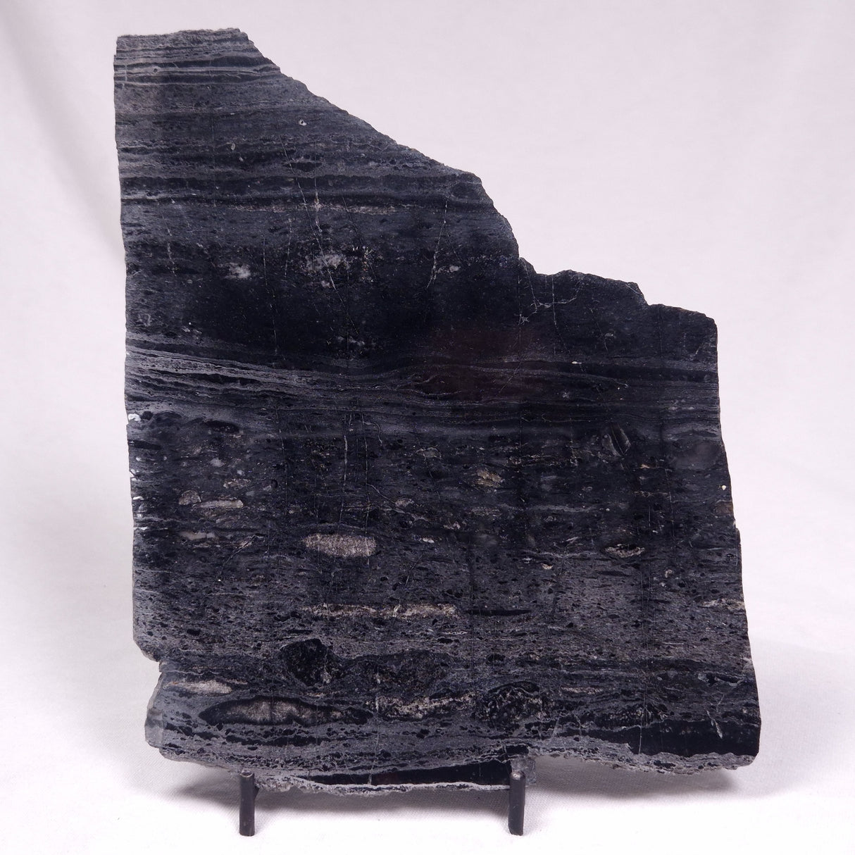 ALCHERINGA NARRINA STROMATOLITE, Late Archean, Australia ZAN038