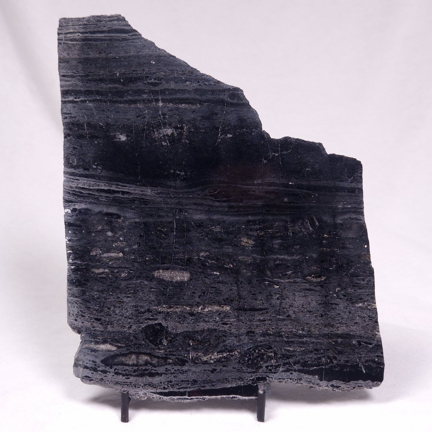 ALCHERINGA NARRINA STROMATOLITE, Late Archean, Australia ZAN038