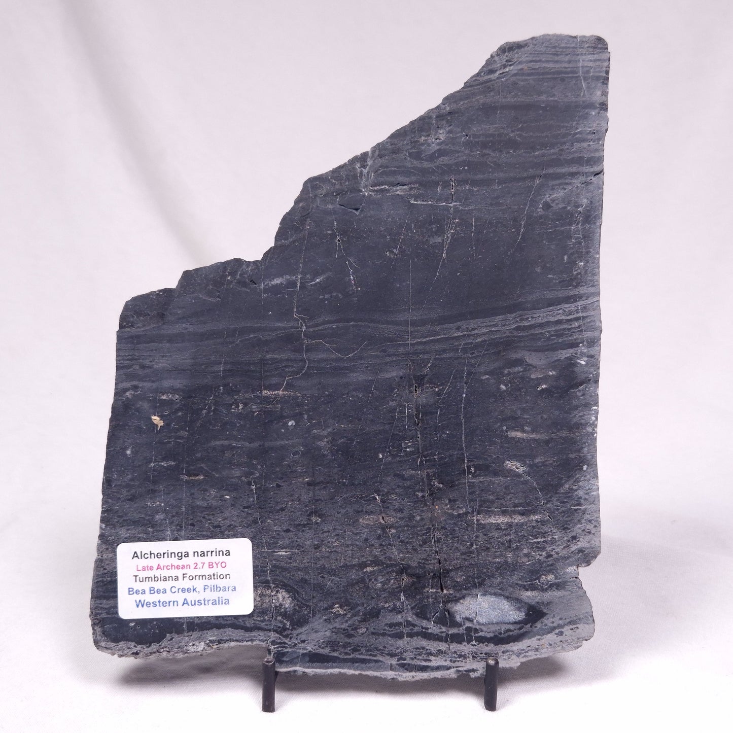 ALCHERINGA NARRINA STROMATOLITE, Late Archean, Australia ZAN038