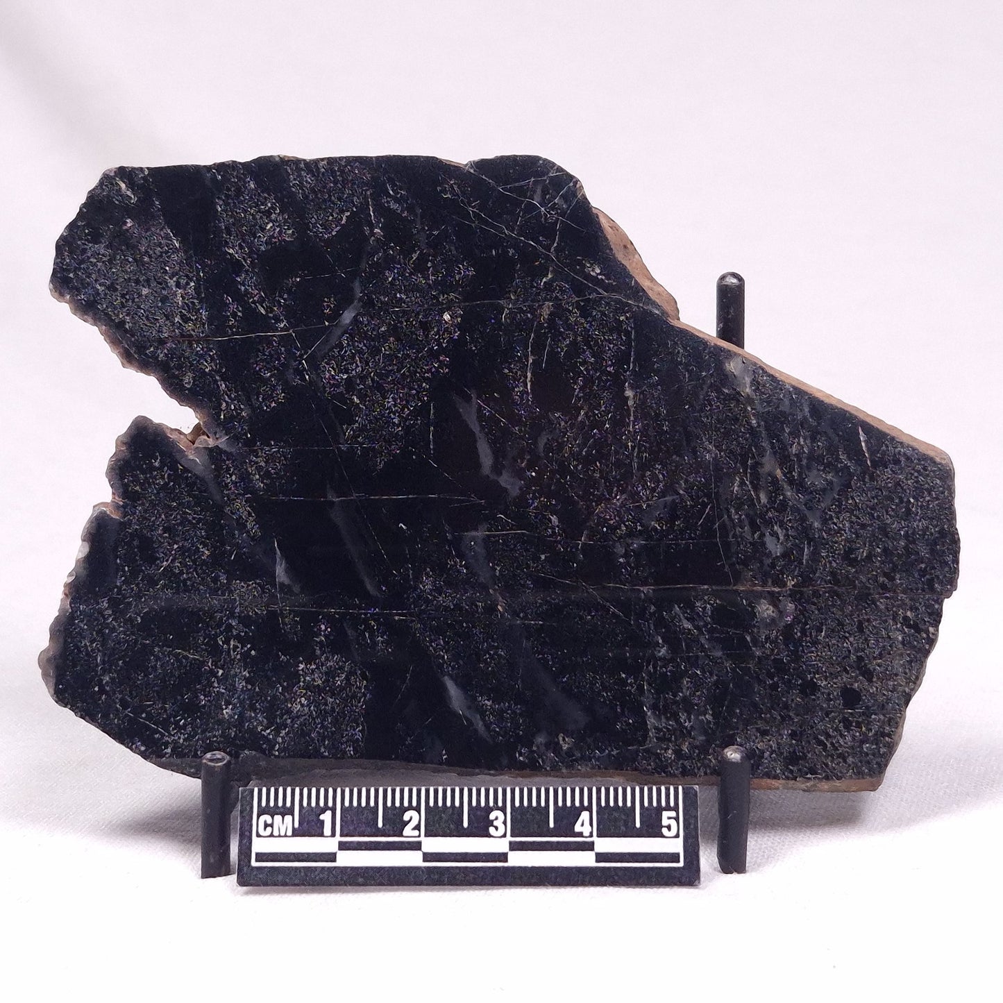 ALCHERINGA NARRINA STROMATOLITE, Late Archean, Australia ZAN039