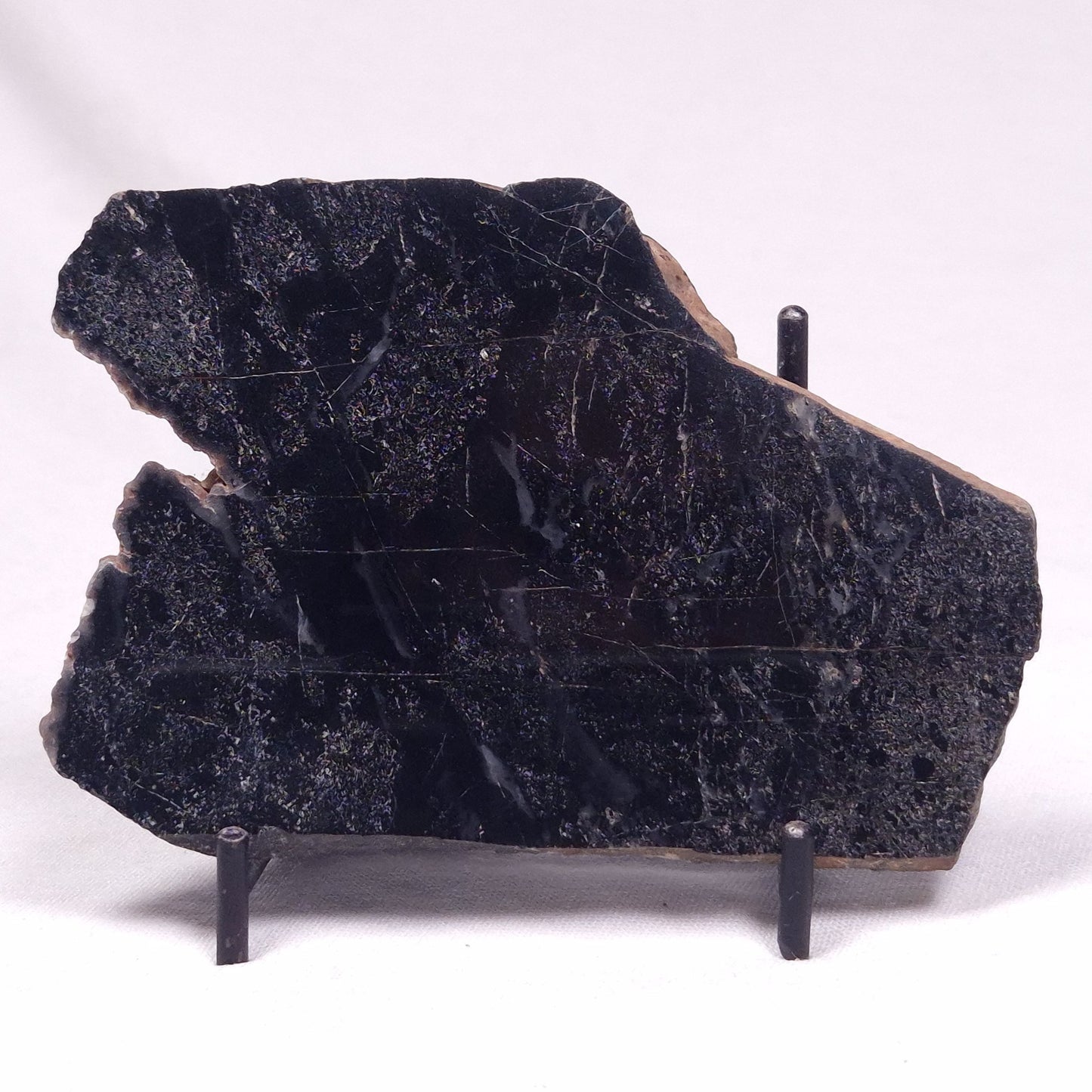 ALCHERINGA NARRINA STROMATOLITE, Late Archean, Australia ZAN039