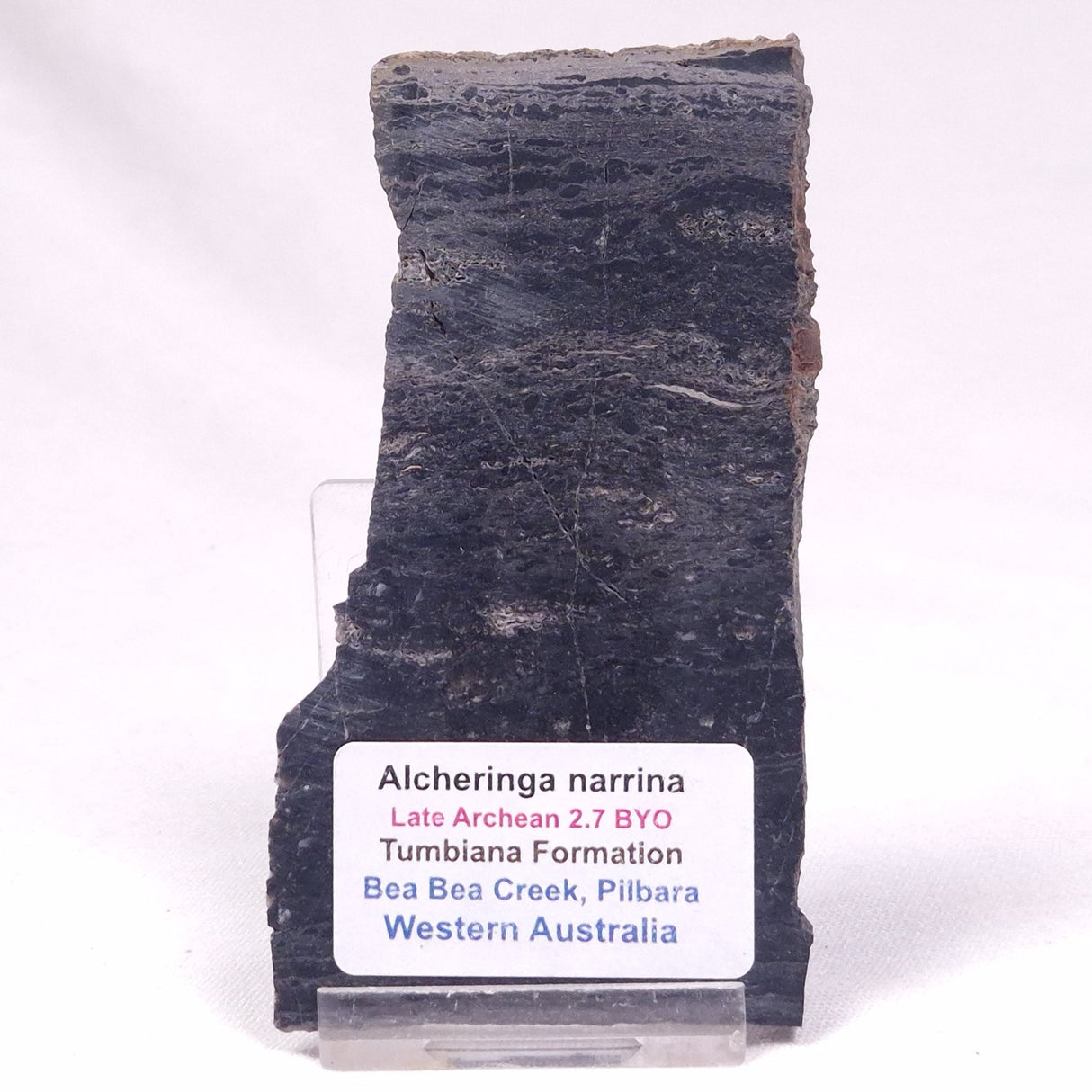ALCHERINGA NARRINA STROMATOLITE, Late Archean, Australia ZAN040