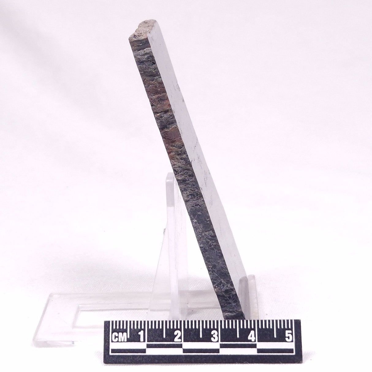 ALCHERINGA NARRINA STROMATOLITE, Late Archean, Australia ZAN040