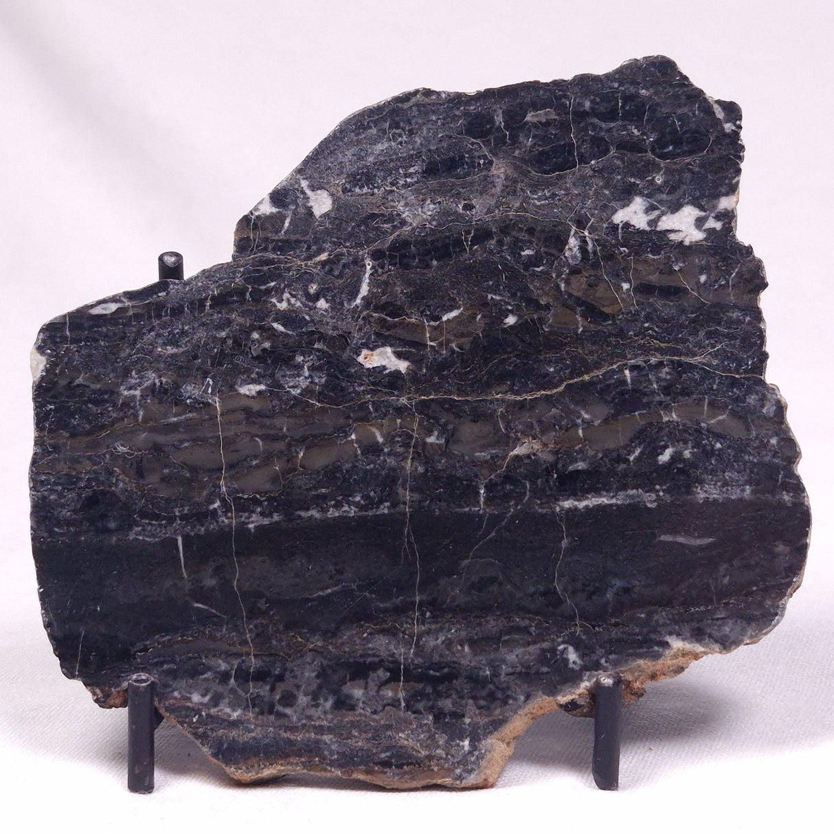 ALCHERINGA NARRINA STROMATOLITE, Late Archean, Australia ZAN041