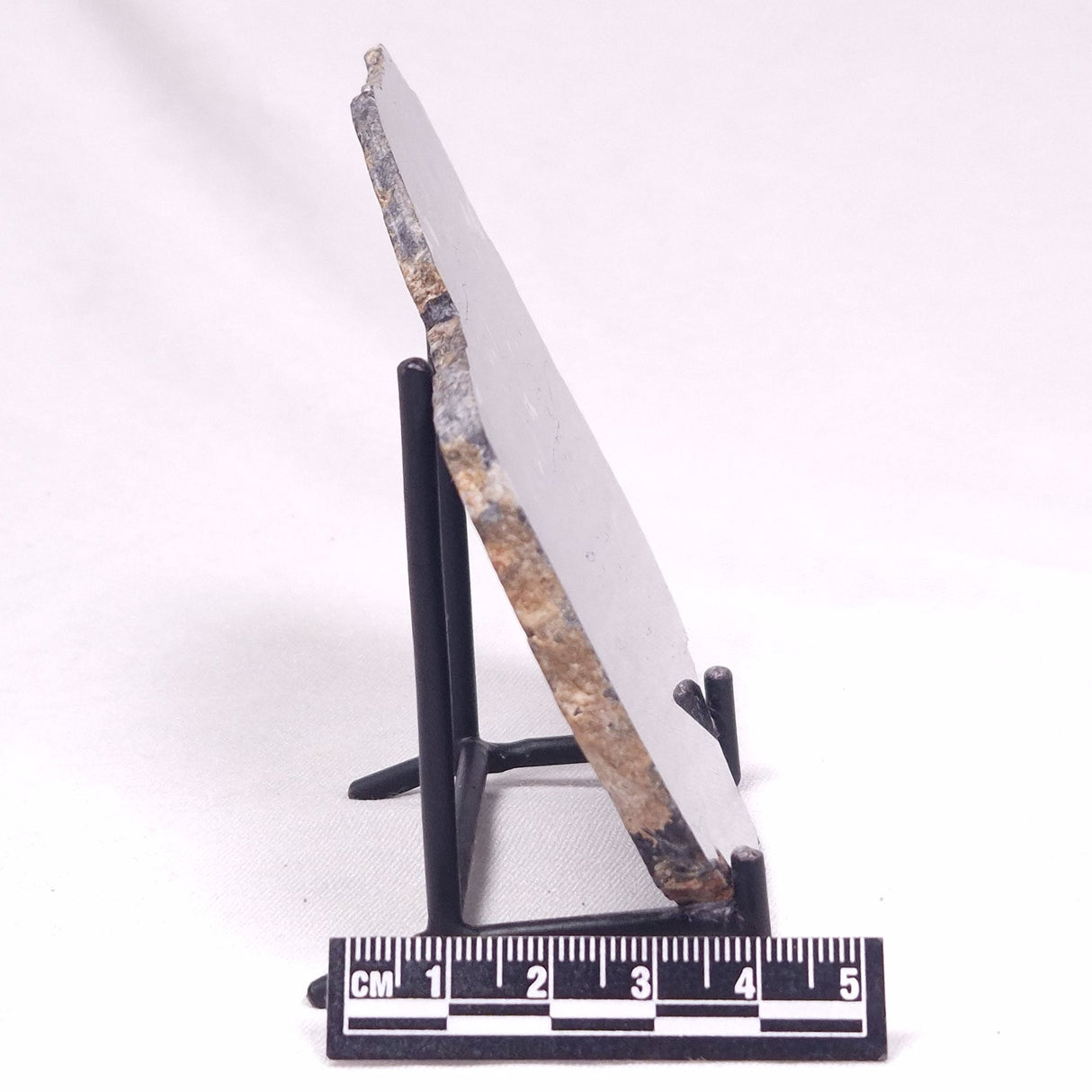 ALCHERINGA NARRINA STROMATOLITE, Late Archean, Australia ZAN041