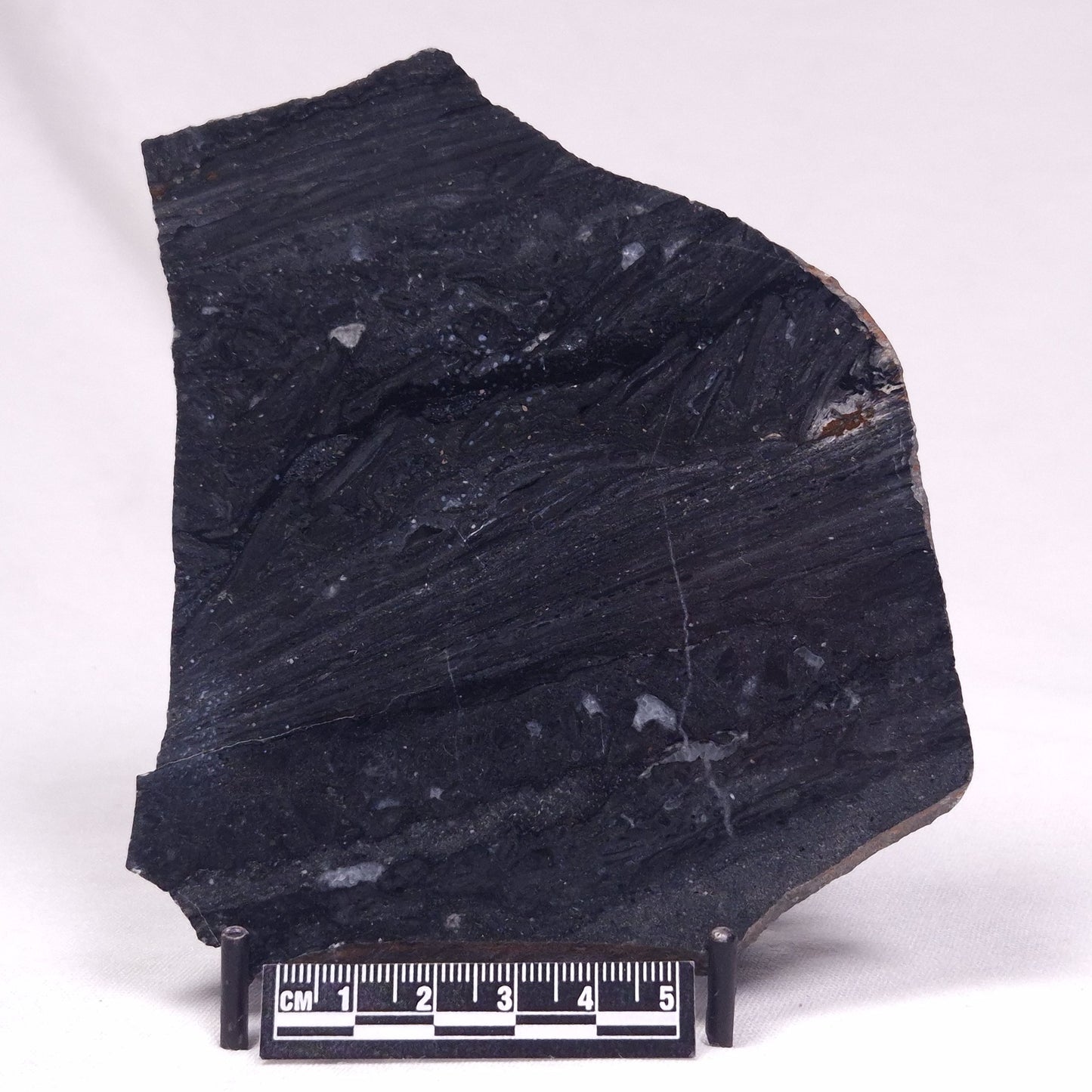 ALCHERINGA NARRINA STROMATOLITE, Late Archean, Australia ZAN042