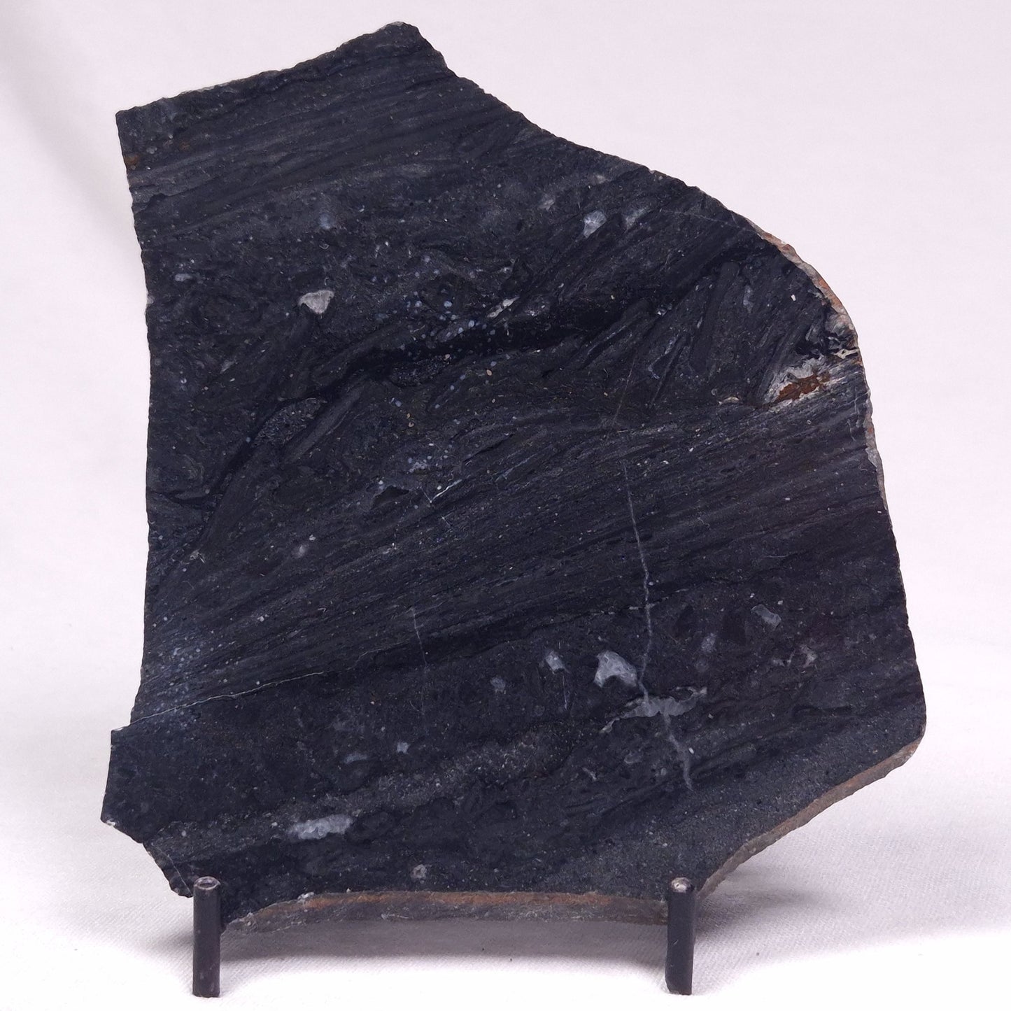 ALCHERINGA NARRINA STROMATOLITE, Late Archean, Australia ZAN042
