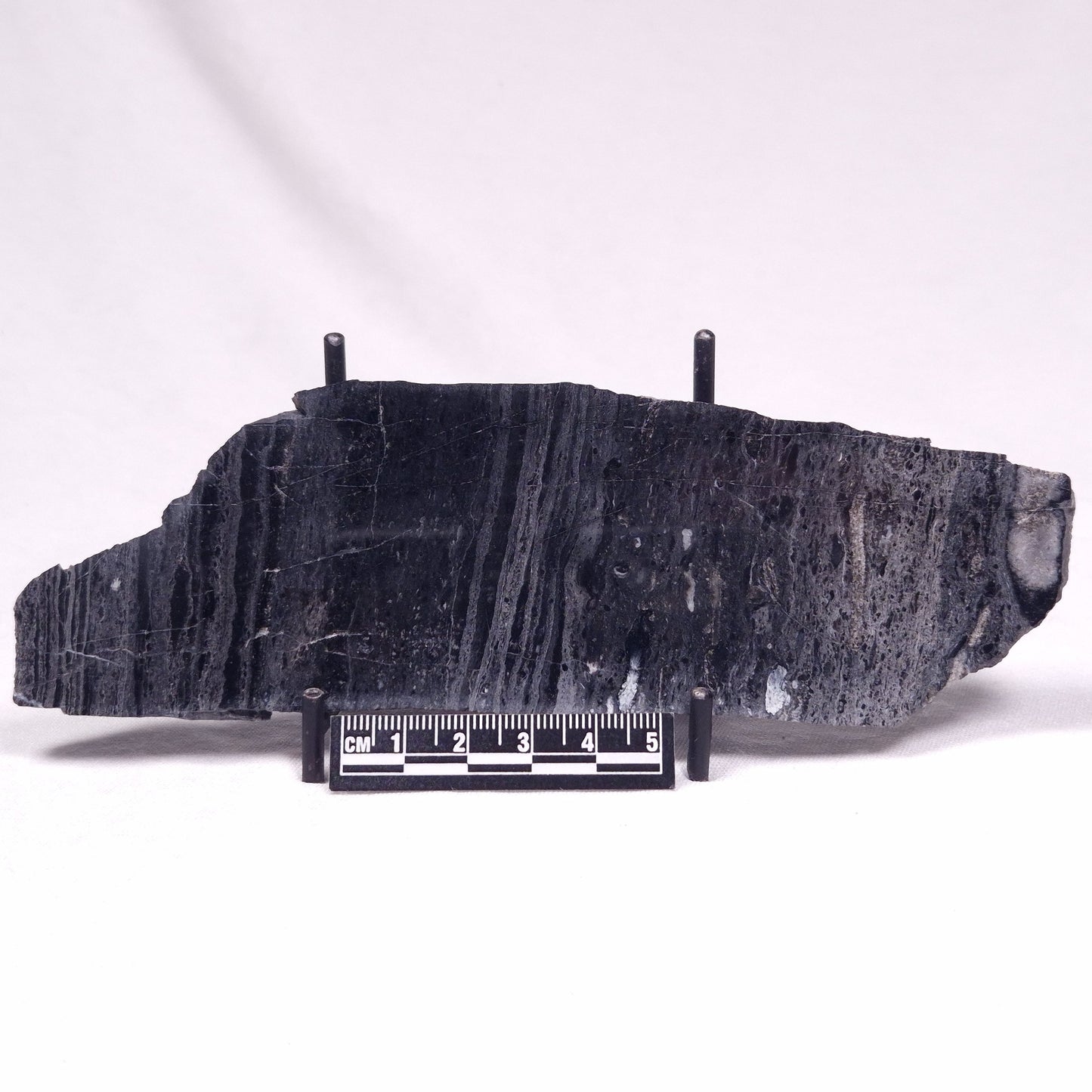 ALCHERINGA NARRINA STROMATOLITE, Late Archean, Australia ZAN043