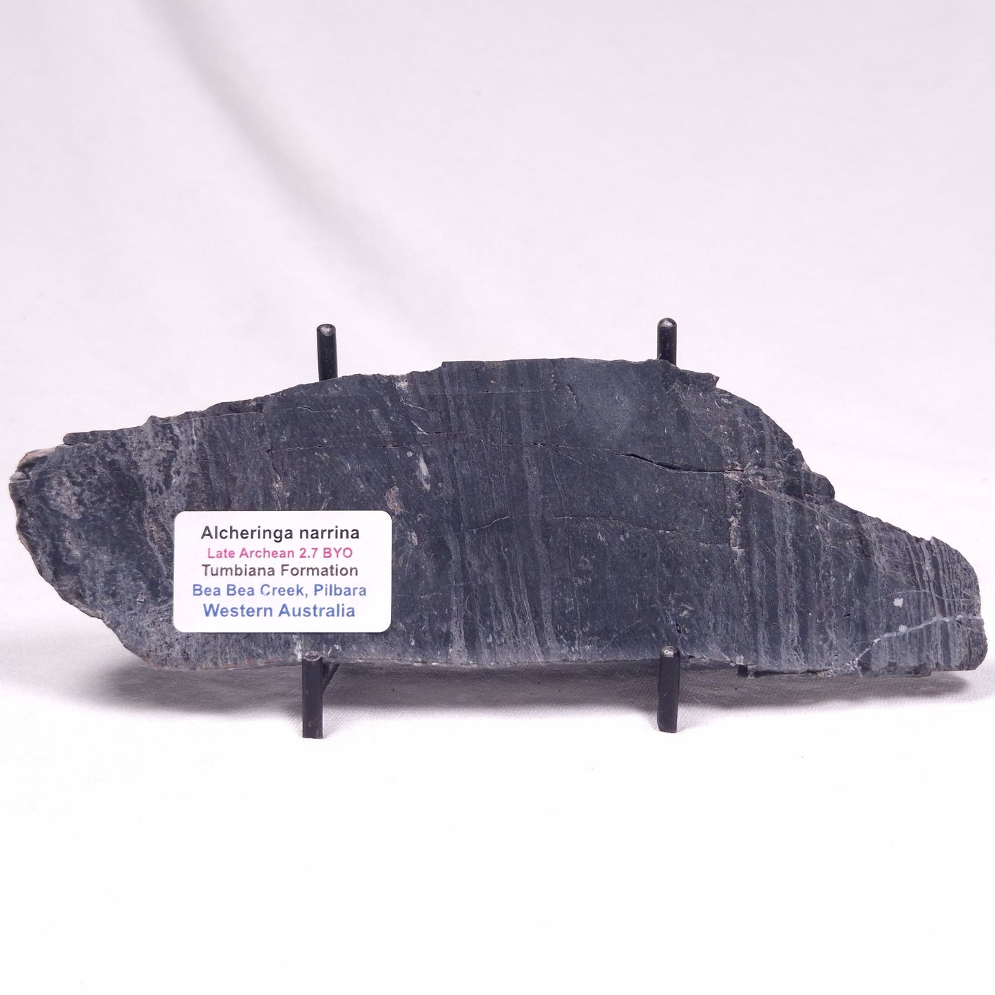 ALCHERINGA NARRINA STROMATOLITE, Late Archean, Australia ZAN043