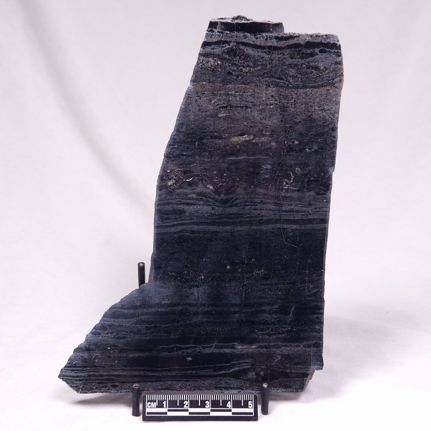 ALCHERINGA NARRINA STROMATOLITE, Late Archean, Australia ZAN044