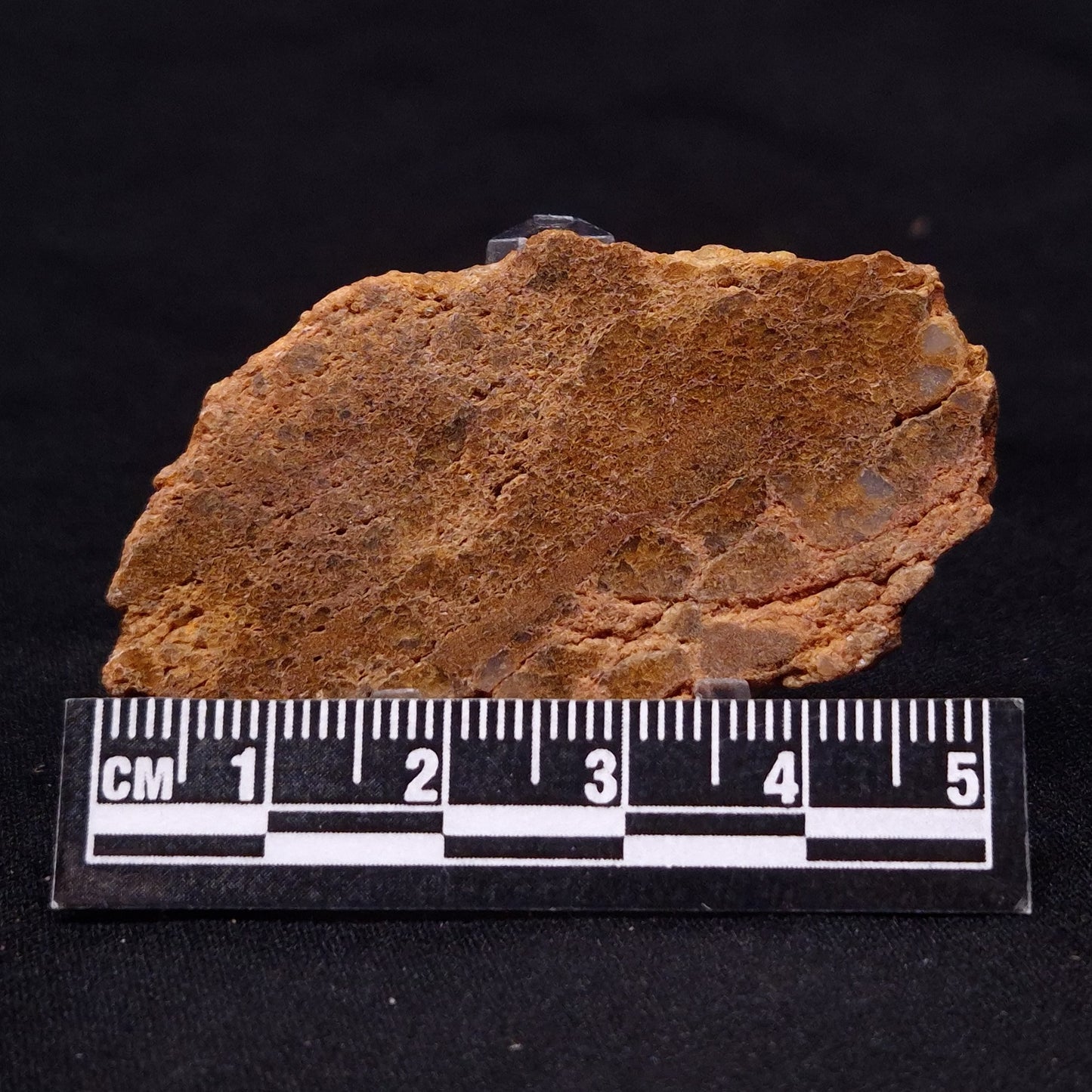 JACK HILLS ZIRCON, Hadean Age, Australia ZJH009