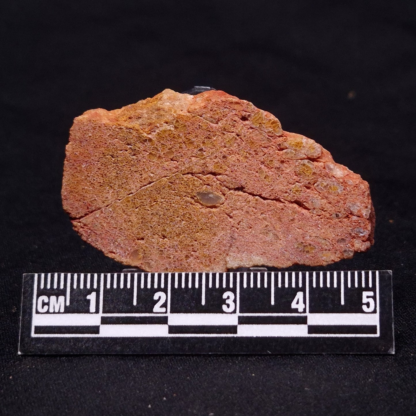 JACK HILLS ZIRCON, Hadean Age, Australia ZJH013
