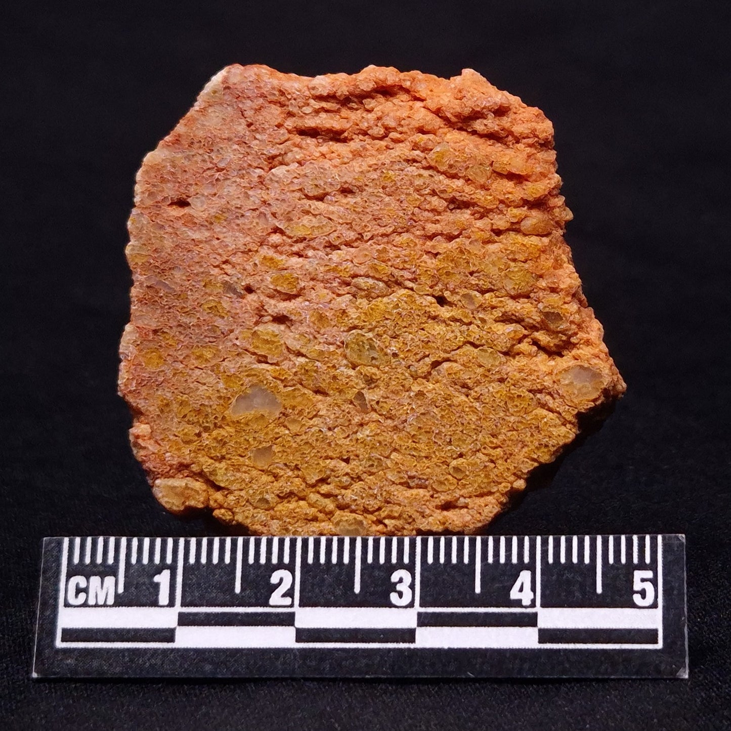 JACK HILLS ZIRCON, Hadean Age, Australia ZJH022