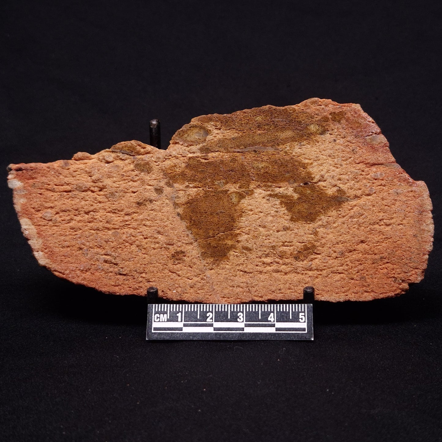 JACK HILLS ZIRCON, Hadean Age, Australia ZJH038