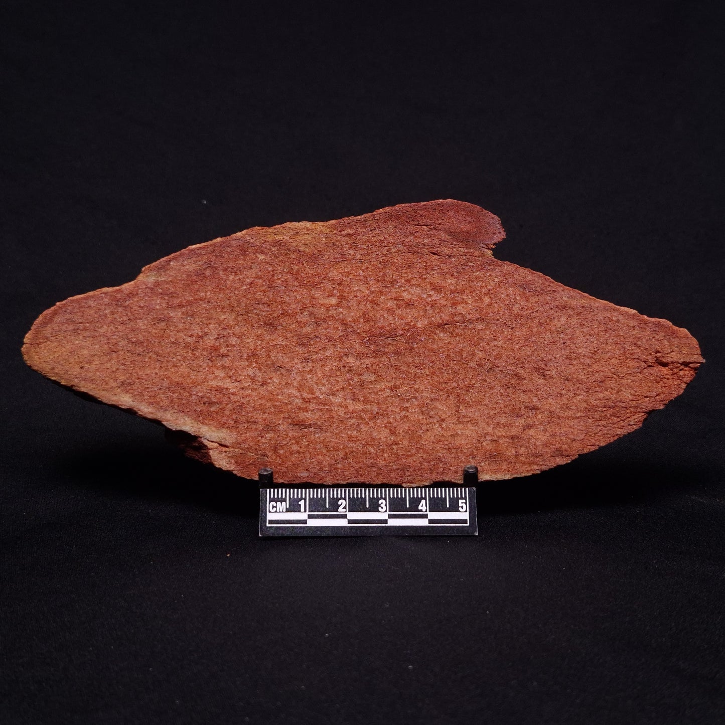 JACK HILLS ZIRCON, Hadean Age, Australia ZJH041