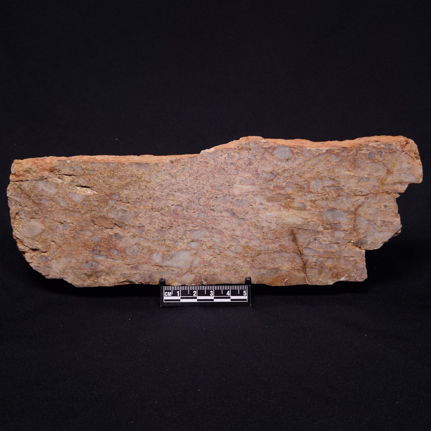 JACK HILLS ZIRCON, Hadean Age, Australia ZJH043