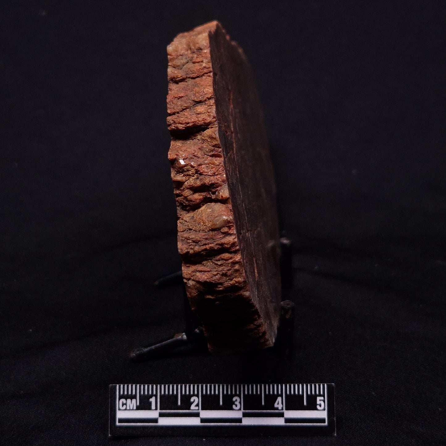 JACK HILLS ZIRCON, Hadean Age, Australia ZJH045