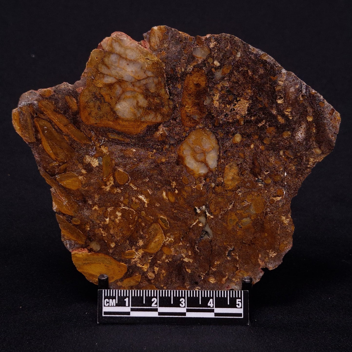 JACK HILLS ZIRCON, Hadean Age, Australia ZJH046
