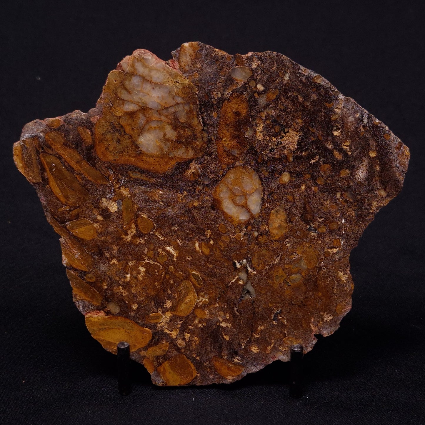 JACK HILLS ZIRCON, Hadean Age, Australia ZJH046