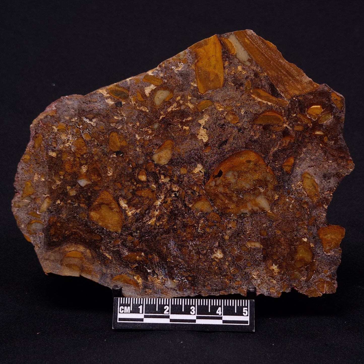 JACK HILLS ZIRCON, Hadean Age, Australia ZJH047