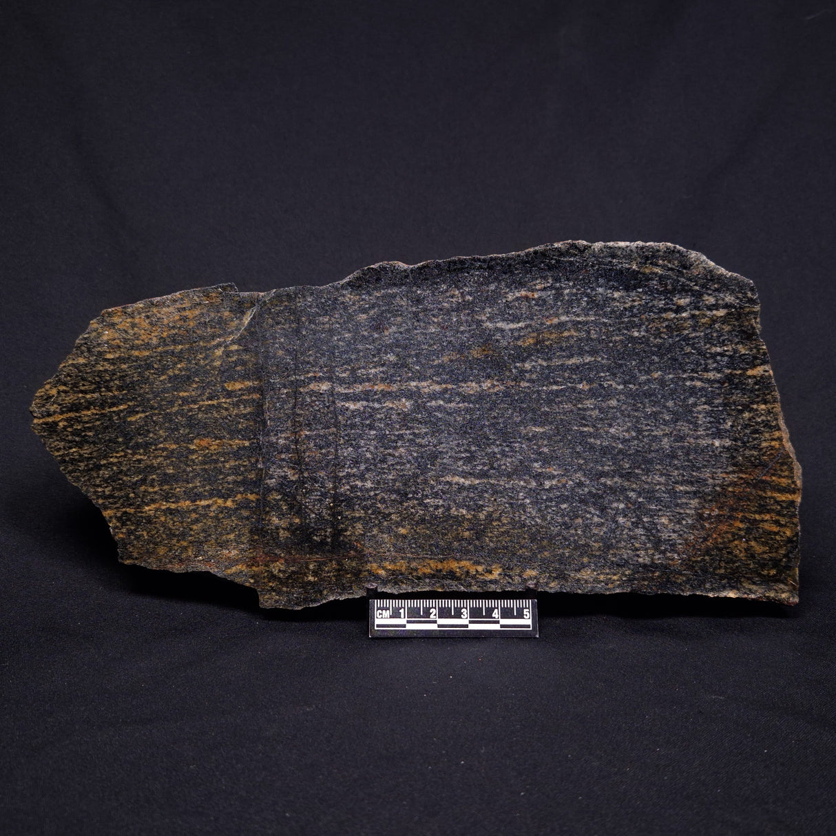 ACASTA GNEISS "OLDEST ROCK IN THE WORLD", Late Hadean, Canada ZAG008