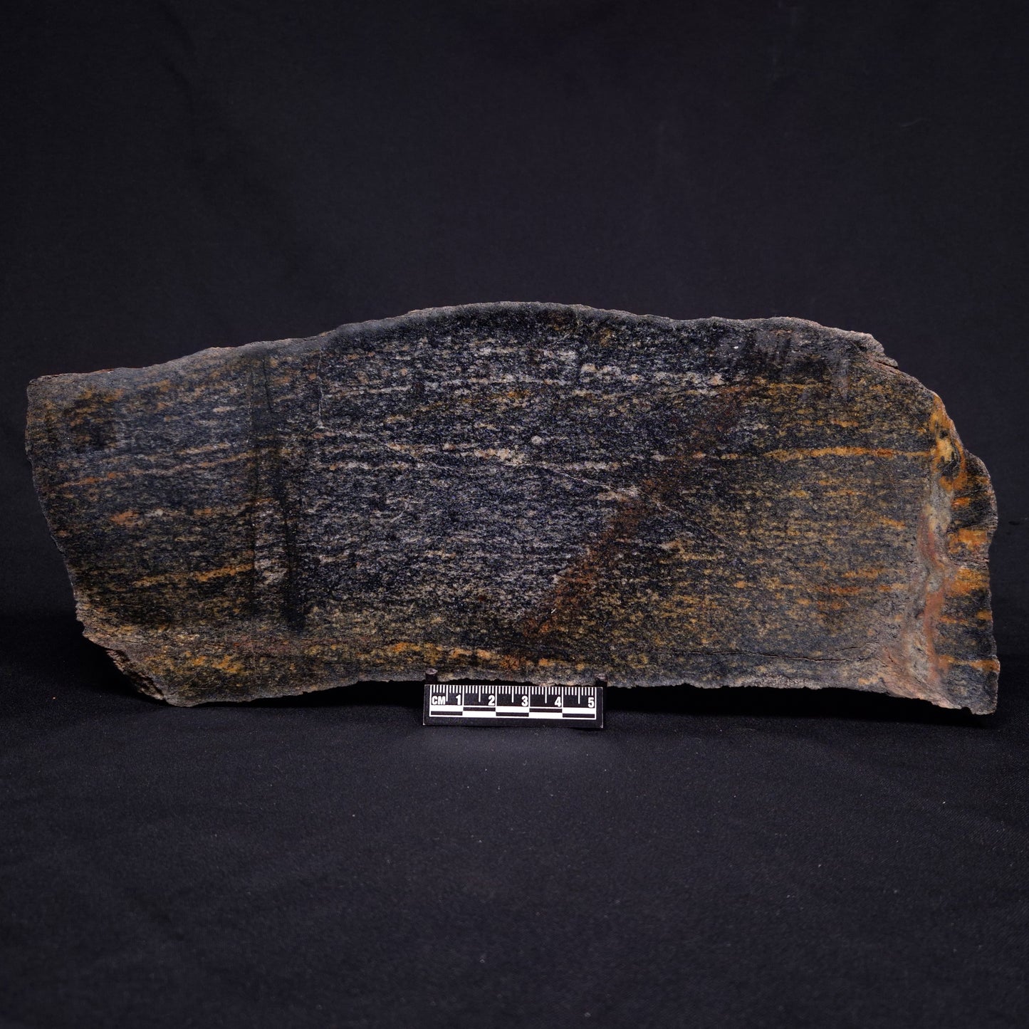 ACASTA GNEISS "OLDEST ROCK IN THE WORLD", Late Hadean, Canada ZAG009