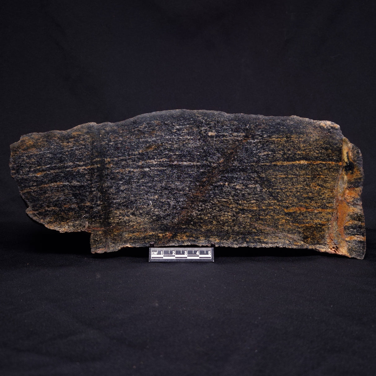 ACASTA GNEISS "OLDEST ROCK IN THE WORLD", Late Hadean, Canada ZAG014