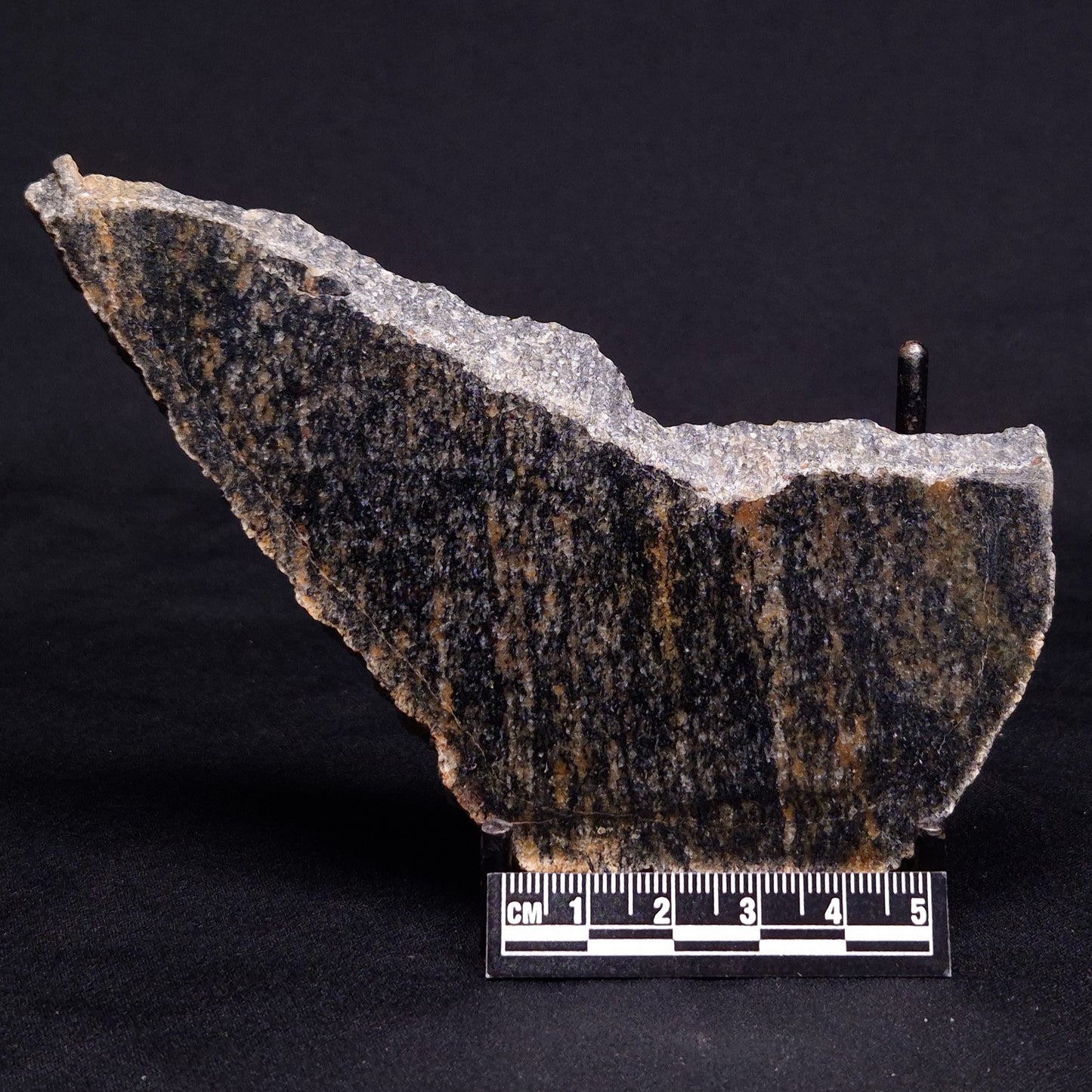 ACASTA GNEISS "OLDEST ROCK IN THE WORLD", Late Hadean, Canada ZAG022