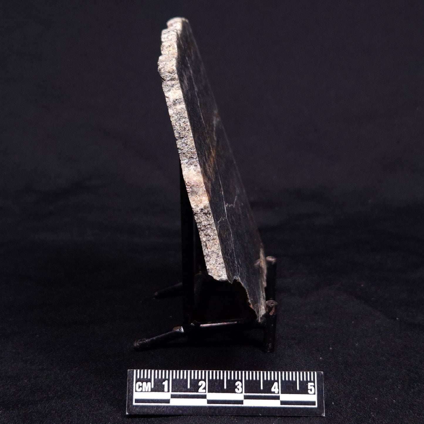ACASTA GNEISS "OLDEST ROCK IN THE WORLD", Late Hadean, Canada ZAG024
