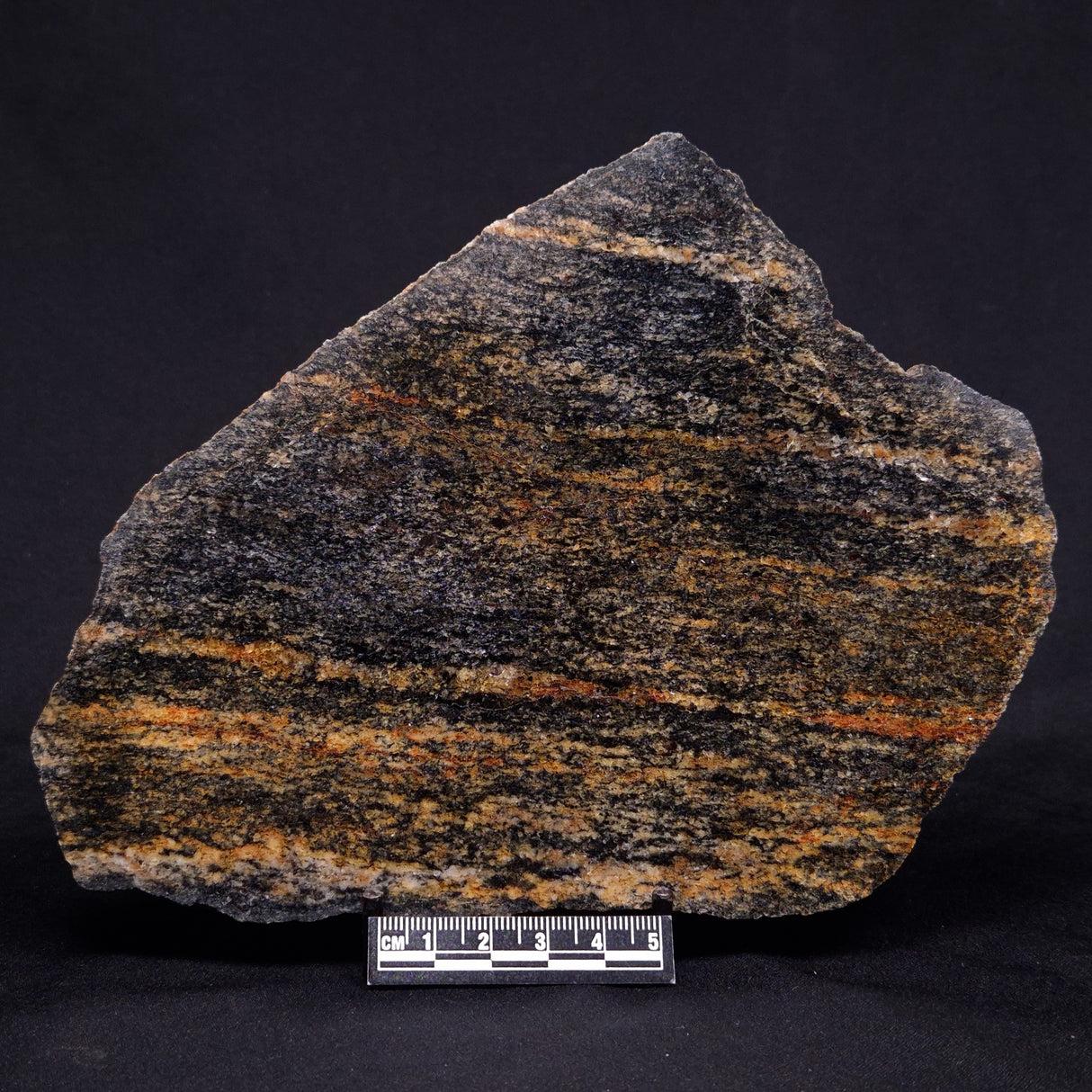 ACASTA GNEISS "OLDEST ROCK IN THE WORLD", Late Hadean, Canada ZAG026