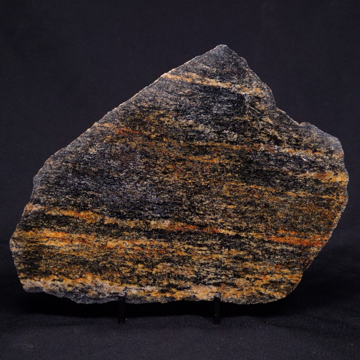 ACASTA GNEISS "OLDEST ROCK IN THE WORLD", Late Hadean, Canada ZAG026