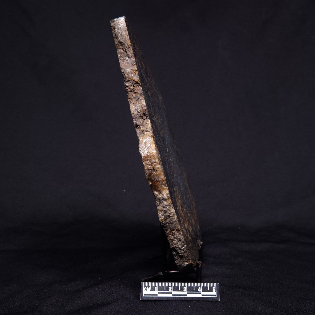 ACASTA GNEISS "OLDEST ROCK IN THE WORLD", Late Hadean, Canada ZAG027