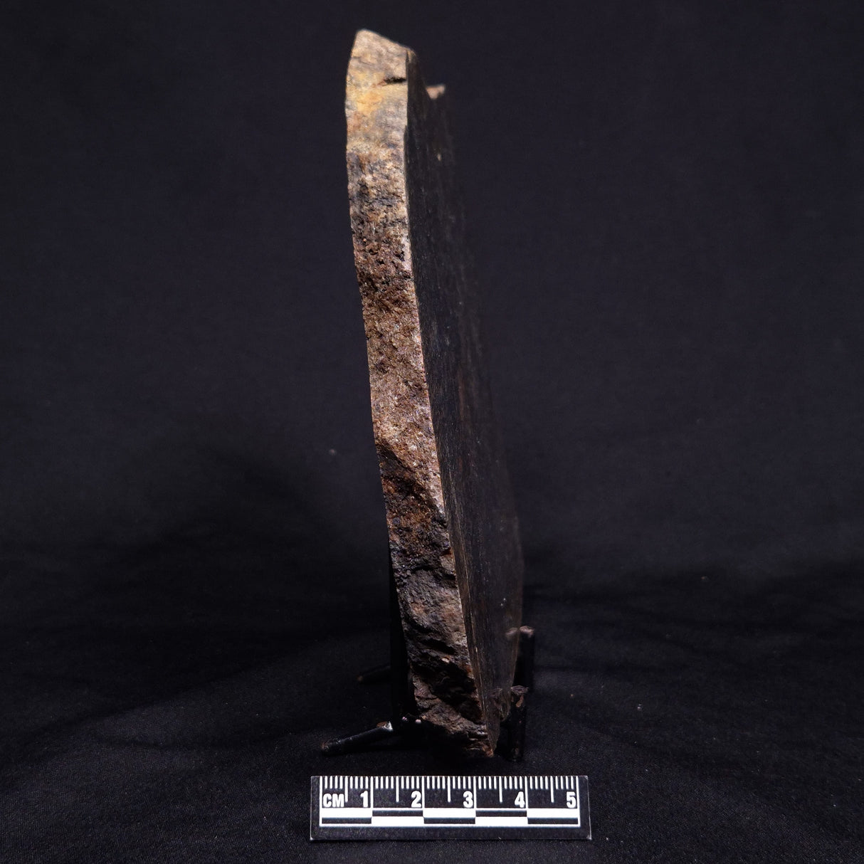 ACASTA GNEISS "OLDEST ROCK IN THE WORLD", Late Hadean, Canada ZAG031