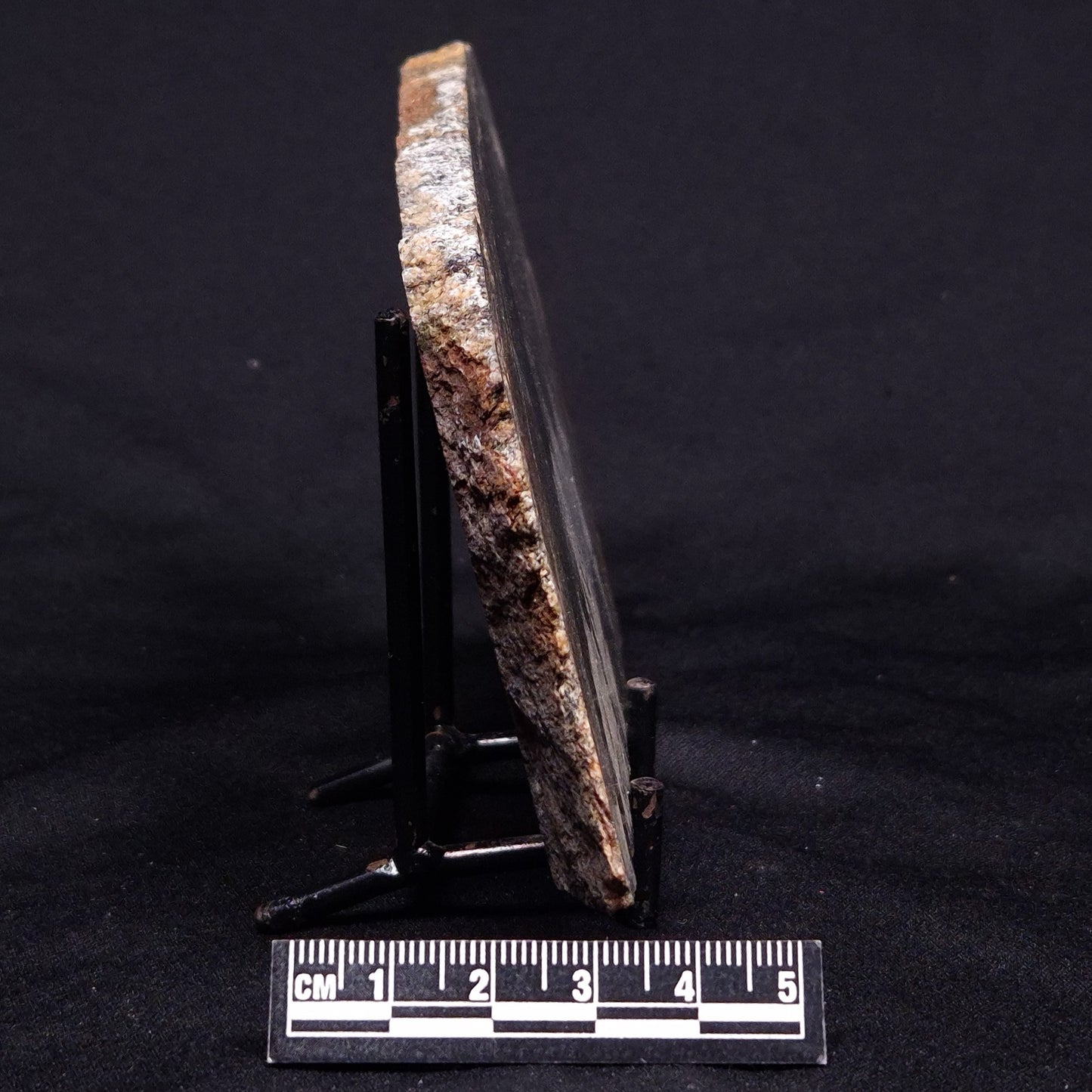 ACASTA GNEISS "OLDEST ROCK IN THE WORLD", Late Hadean, Canada ZAG032