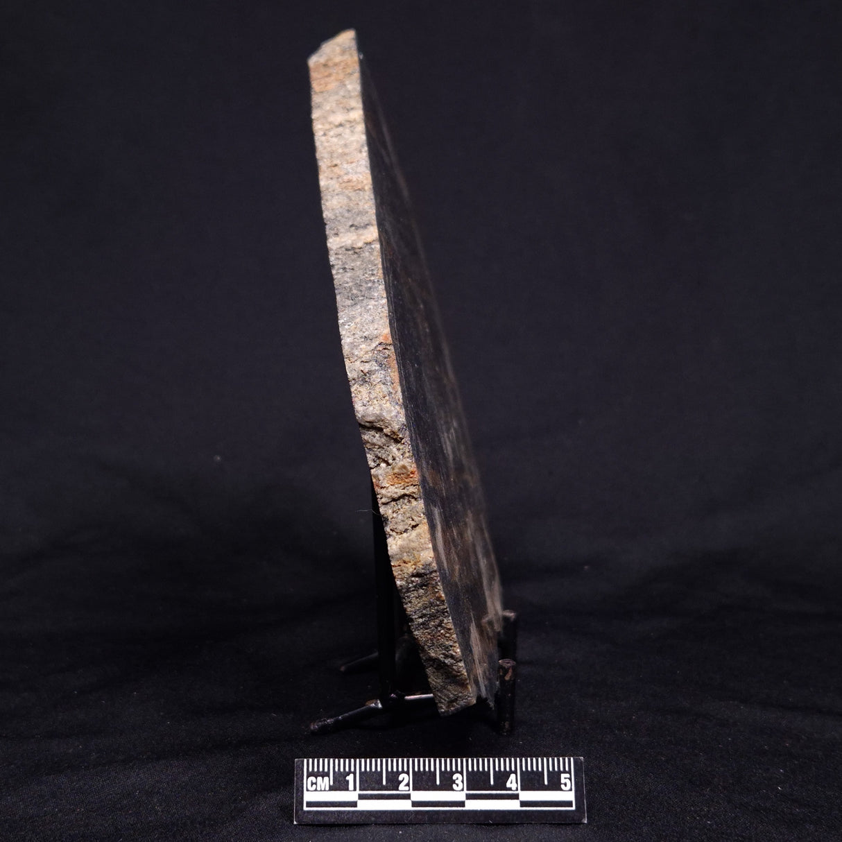 ACASTA GNEISS "OLDEST ROCK IN THE WORLD", Late Hadean, Canada ZAG035