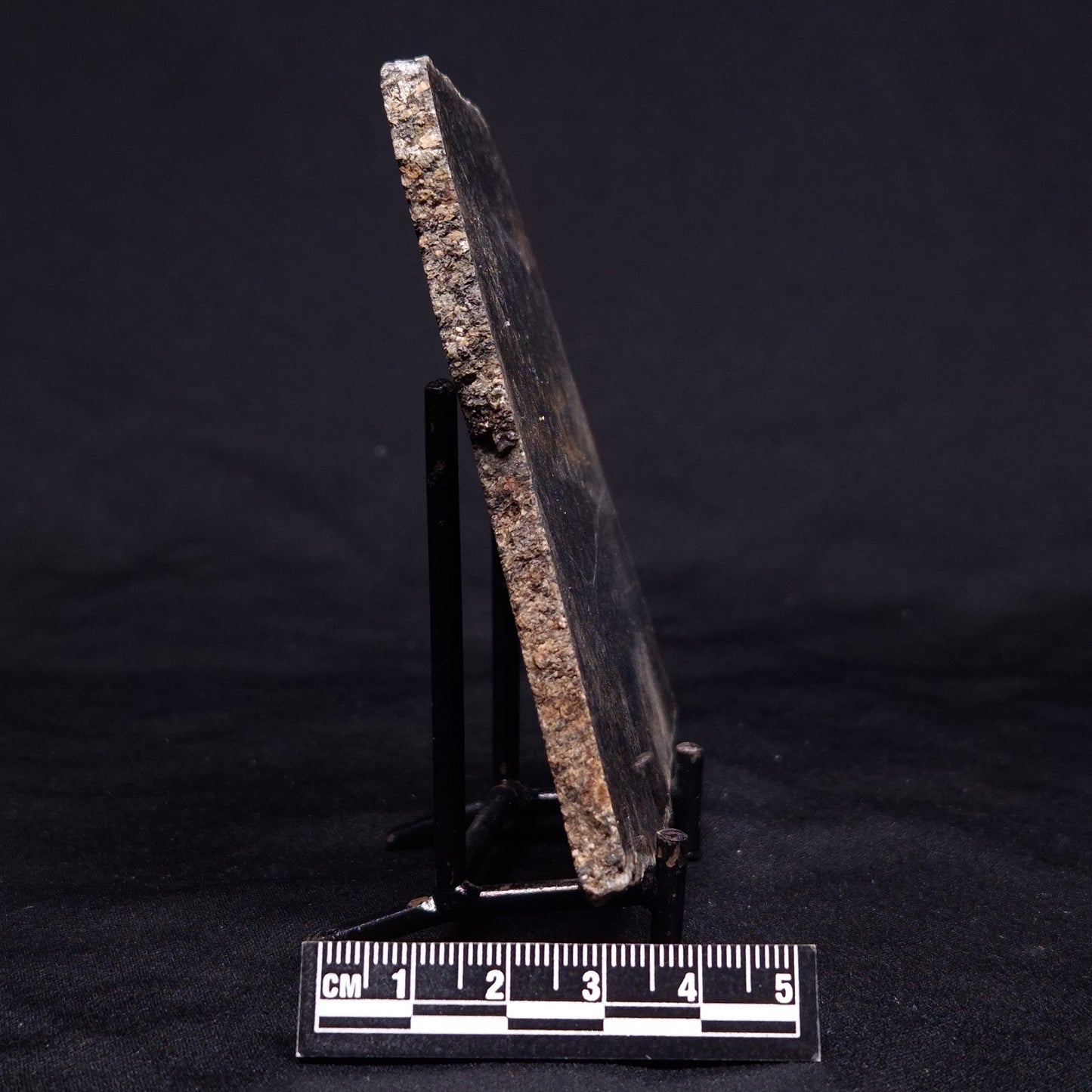 ACASTA GNEISS "OLDEST ROCK IN THE WORLD", Late Hadean, Canada ZAG042