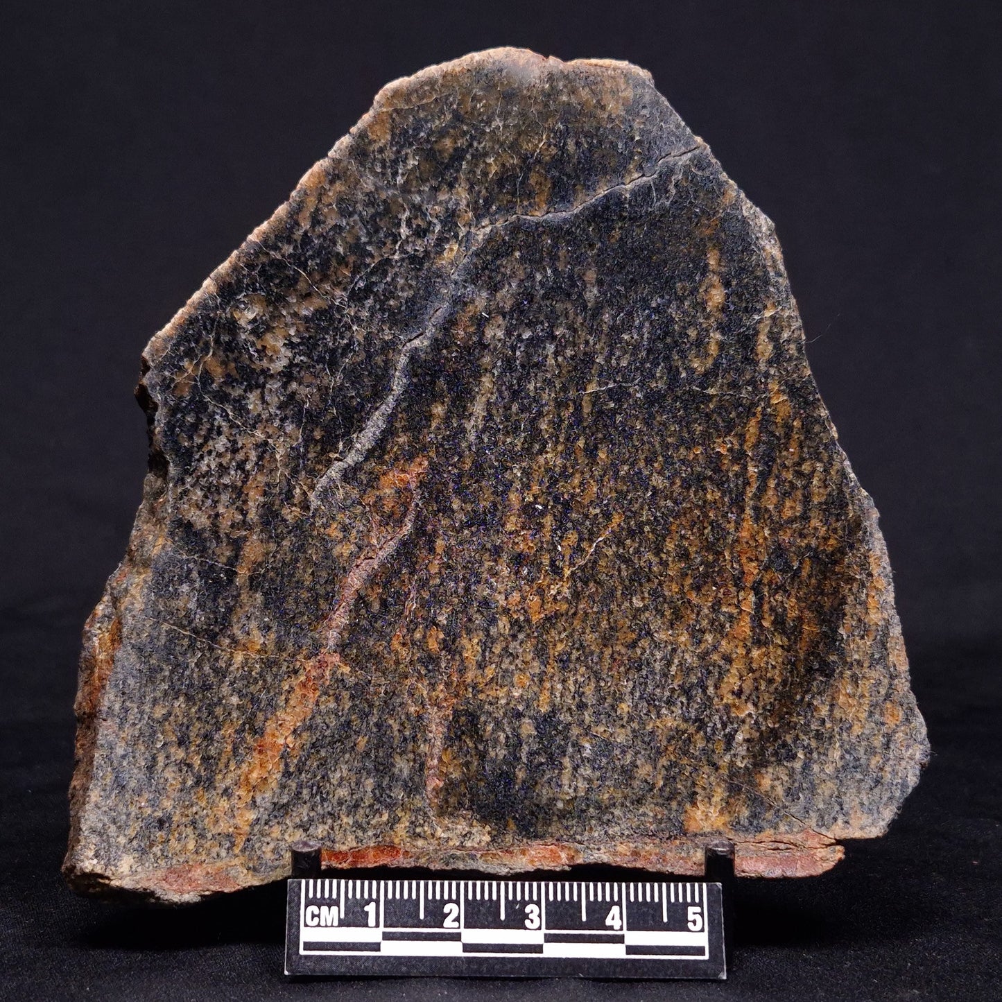 ACASTA GNEISS "OLDEST ROCK IN THE WORLD", Late Hadean, Canada ZAG045