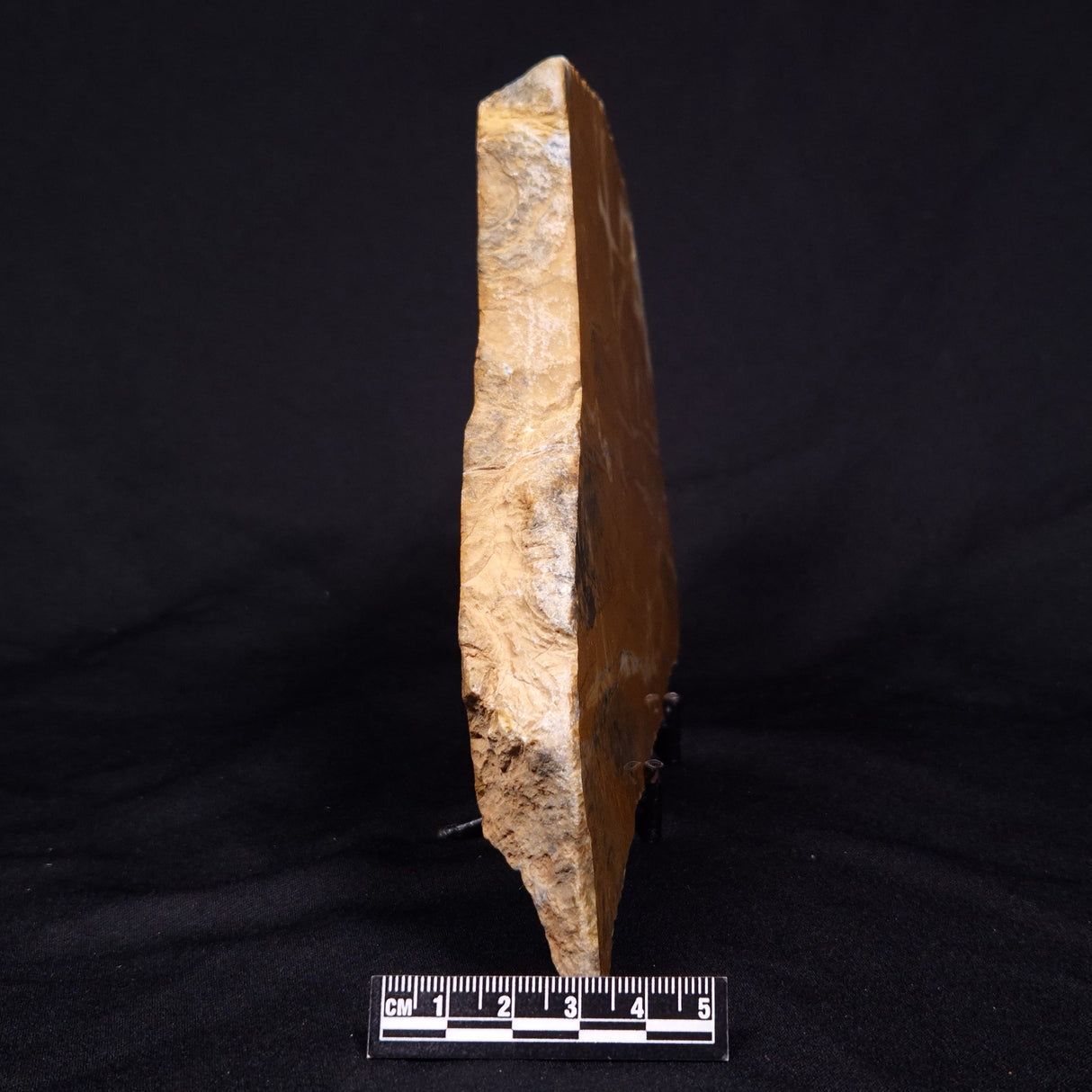 PILBARIA PERPLEXA STROMATOLITE, Australia ZPP019