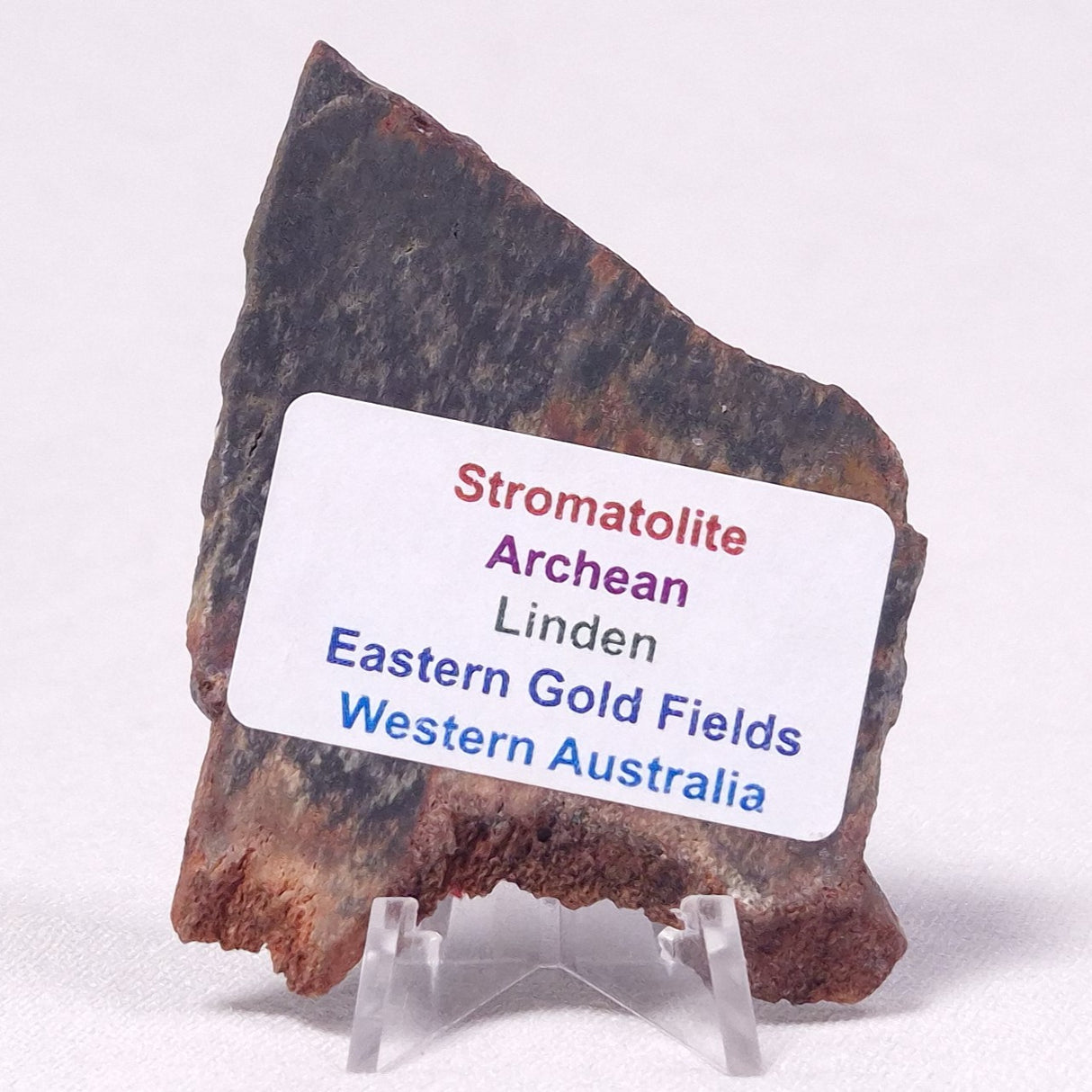 STROMATOLITE, Archean, Australia ZSL027
