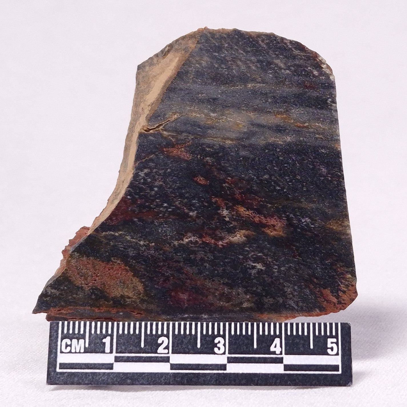STROMATOLITE, Archean, Australia ZSL029